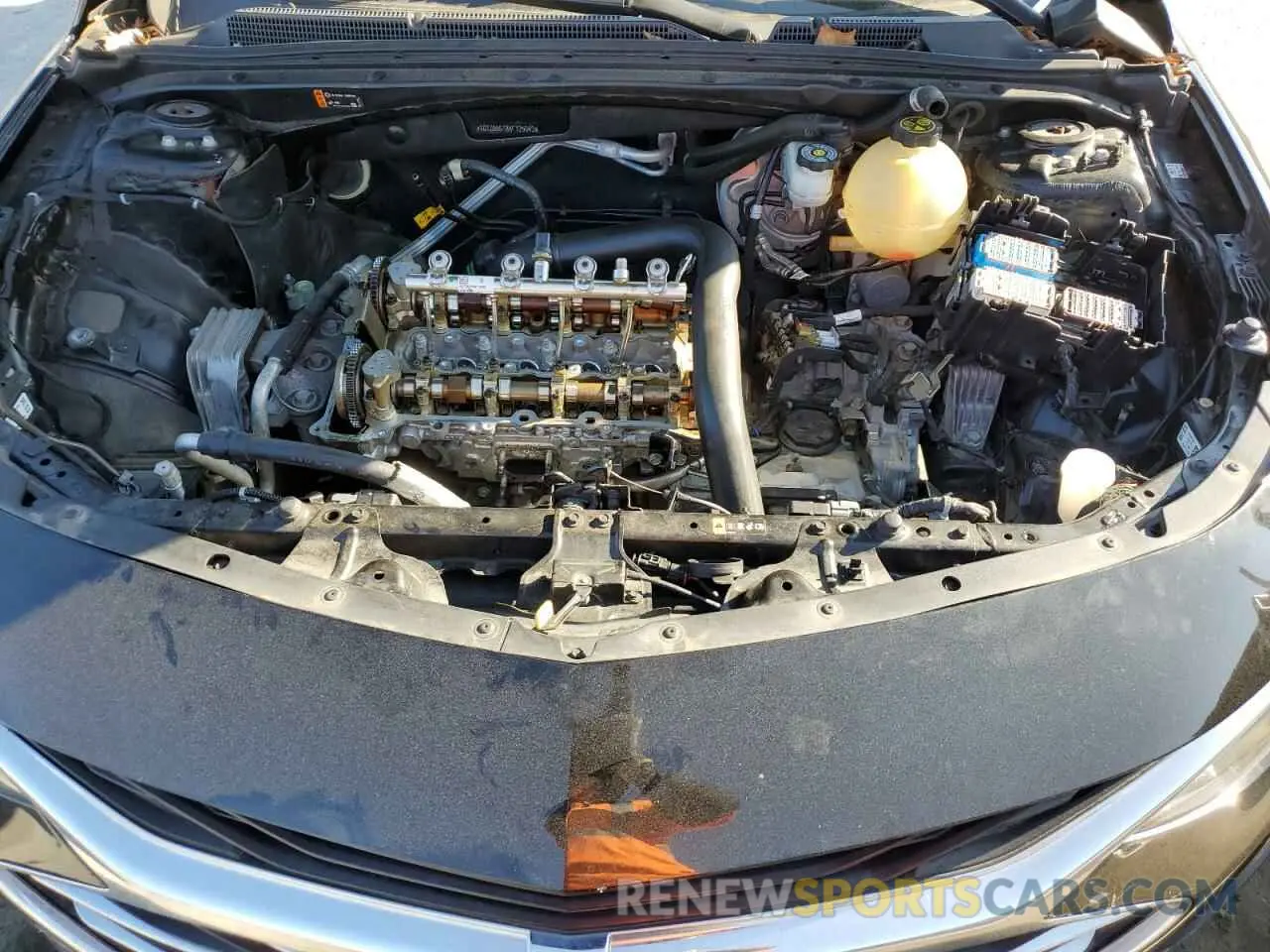 12 Photograph of a damaged car 1G1ZB5ST8KF125343 CHEVROLET MALIBU 2019