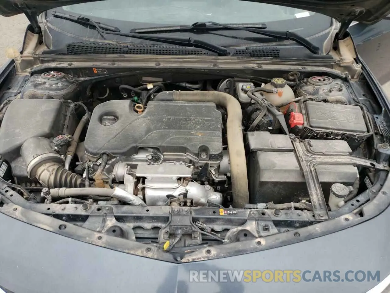 12 Photograph of a damaged car 1G1ZB5ST9KF214144 CHEVROLET MALIBU 2019