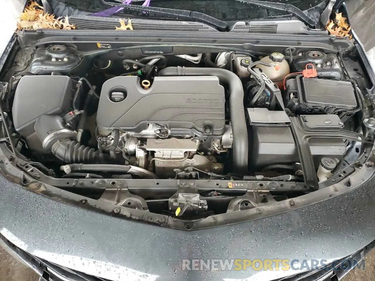 11 Photograph of a damaged car 1G1ZC5ST5KF126785 CHEVROLET MALIBU 2019