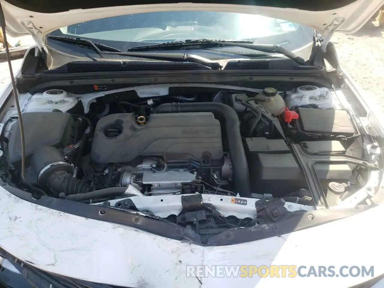 12 Photograph of a damaged car 1G1ZC5ST9KF209135 CHEVROLET MALIBU 2019