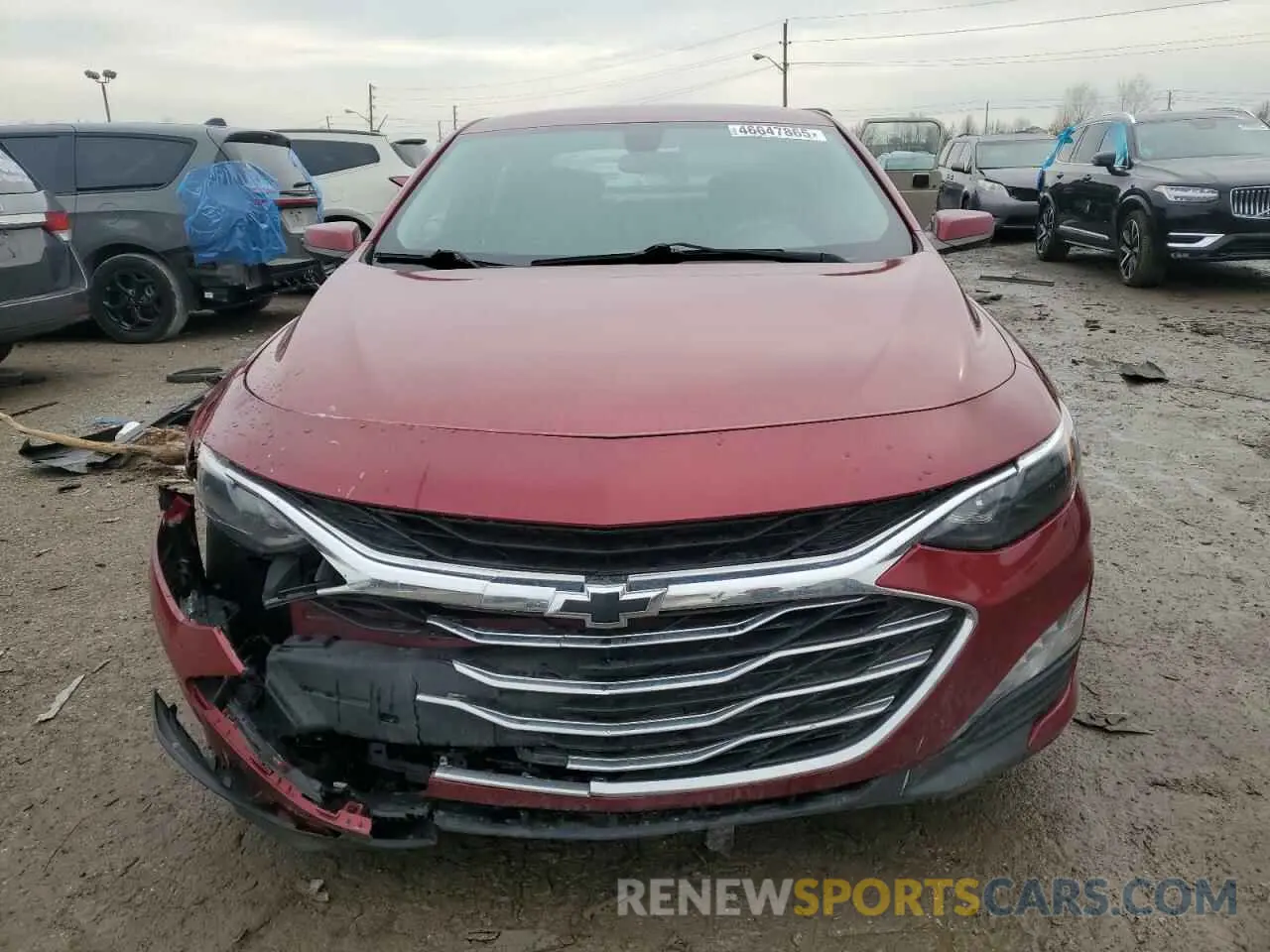 5 Photograph of a damaged car 1G1ZD5ST0KF111771 CHEVROLET MALIBU 2019