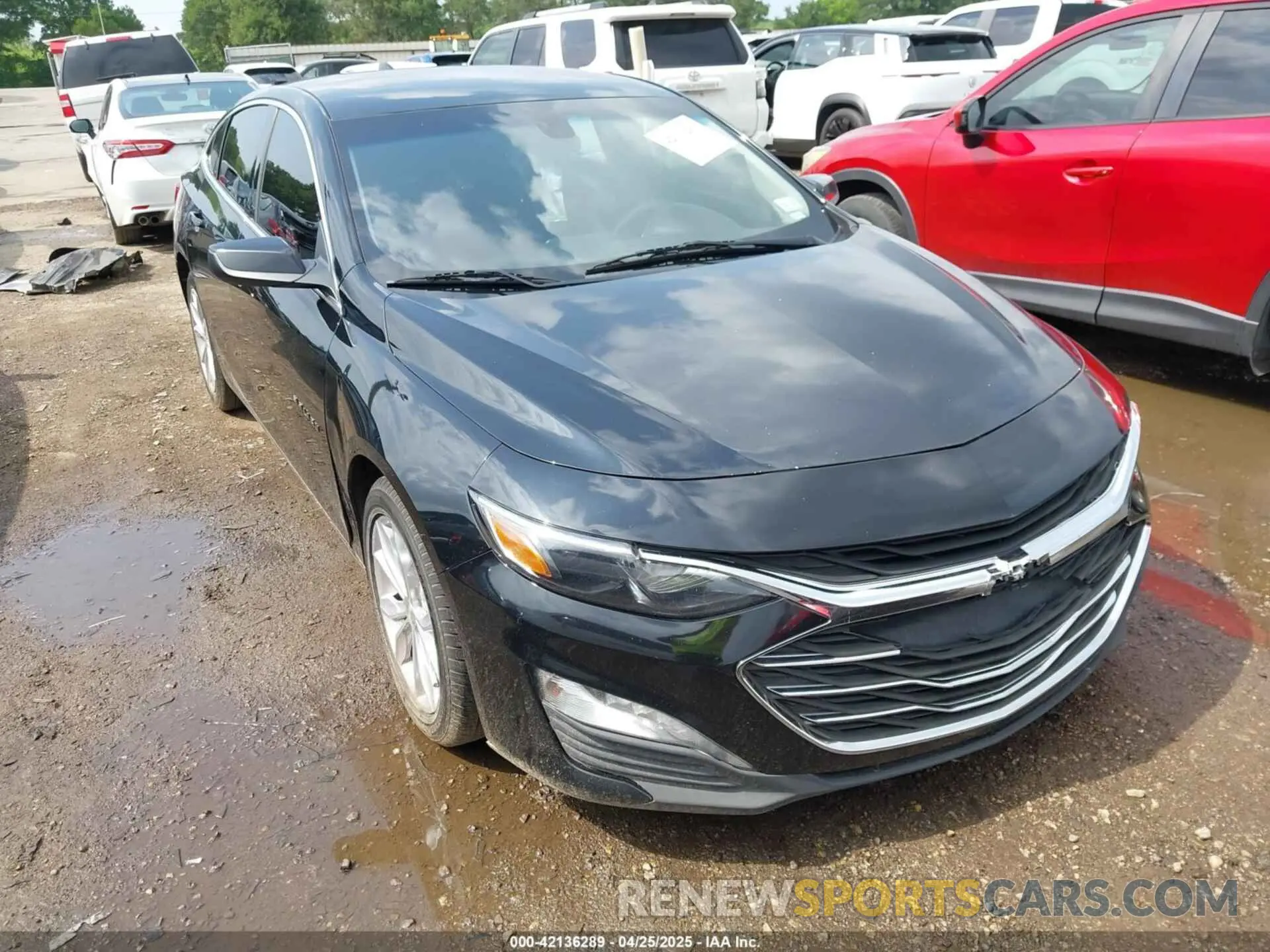 1 Photograph of a damaged car 1G1ZD5ST0KF111799 CHEVROLET MALIBU 2019