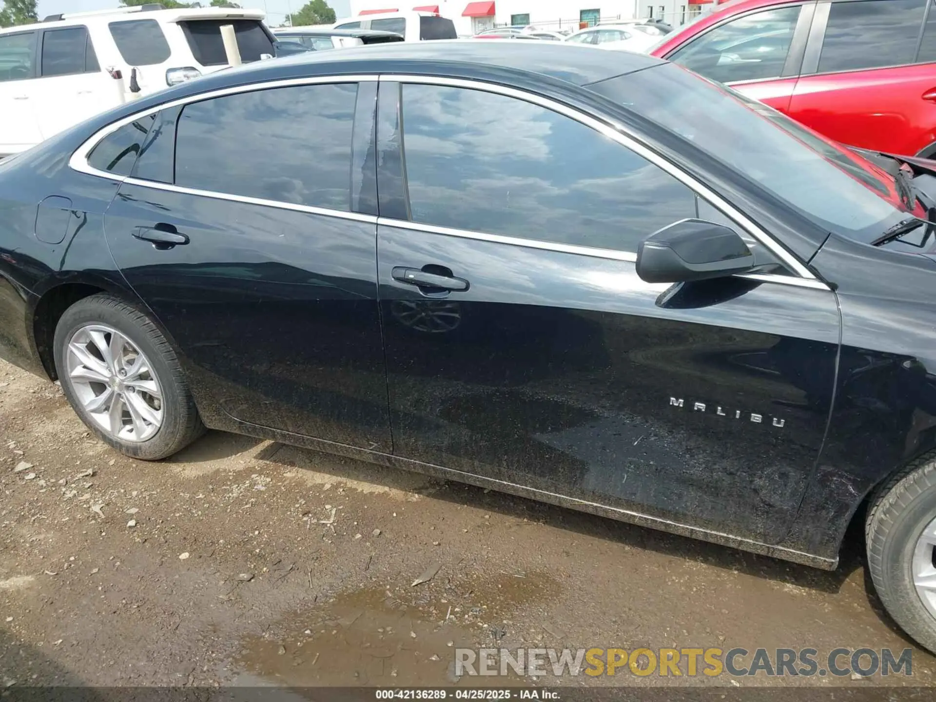 13 Photograph of a damaged car 1G1ZD5ST0KF111799 CHEVROLET MALIBU 2019