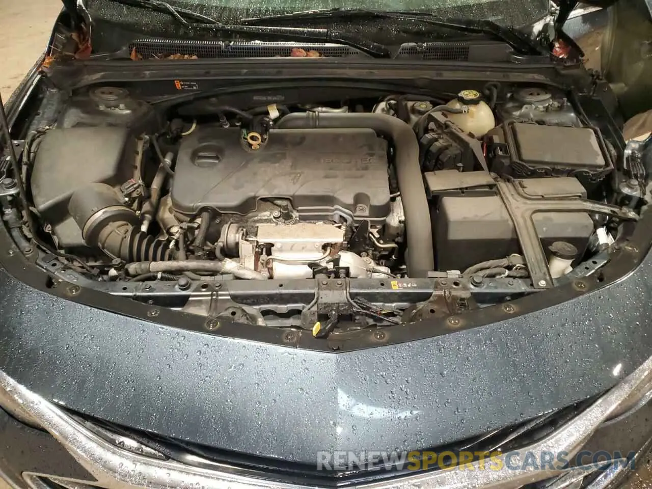 11 Фотография поврежденного автомобиля 1G1ZD5ST0KF207870 CHEVROLET MALIBU 2019