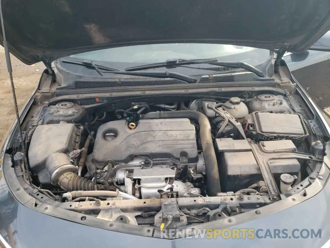 11 Photograph of a damaged car 1G1ZD5ST3KF128340 CHEVROLET MALIBU 2019