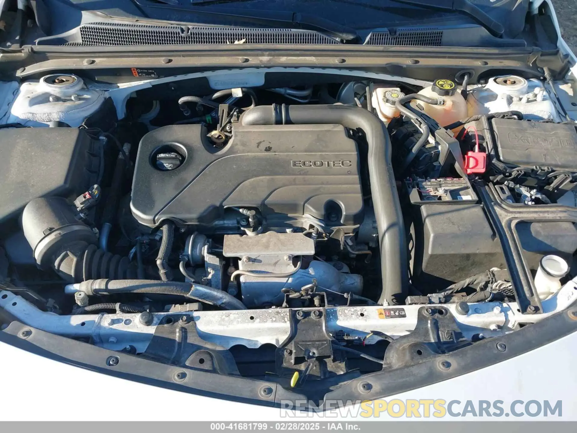 10 Photograph of a damaged car 1G1ZD5ST6KF135489 CHEVROLET MALIBU 2019