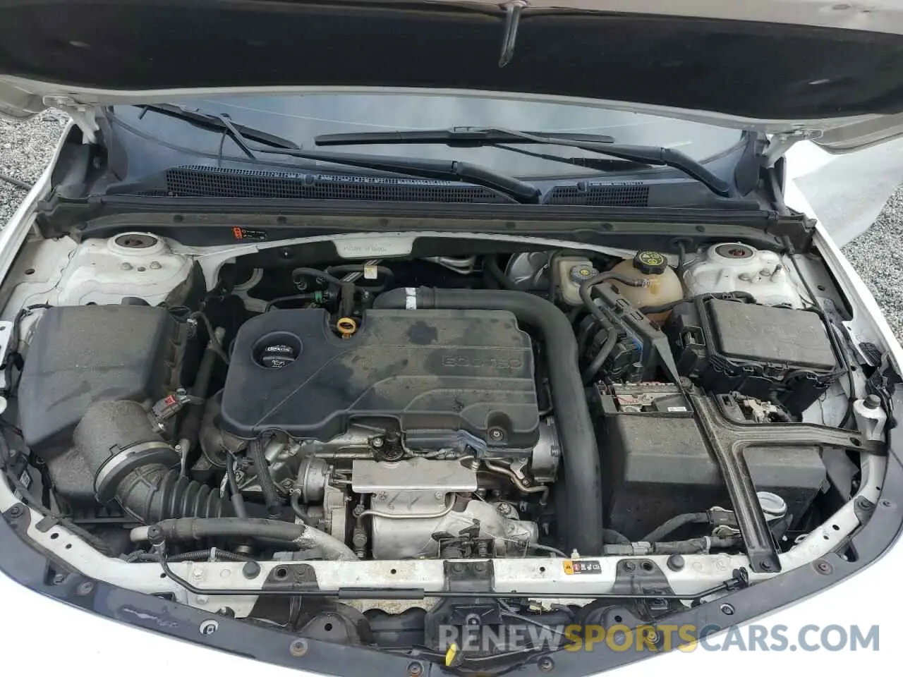 11 Photograph of a damaged car 1G1ZD5ST9KF165148 CHEVROLET MALIBU 2019