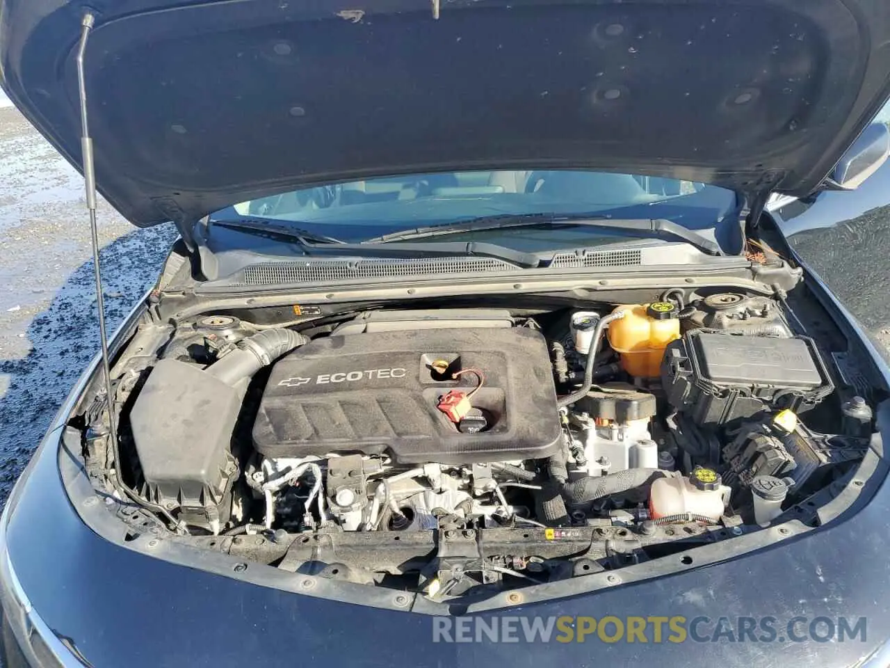 13 Photograph of a damaged car 1G1ZF5SU7KF176118 CHEVROLET MALIBU 2019