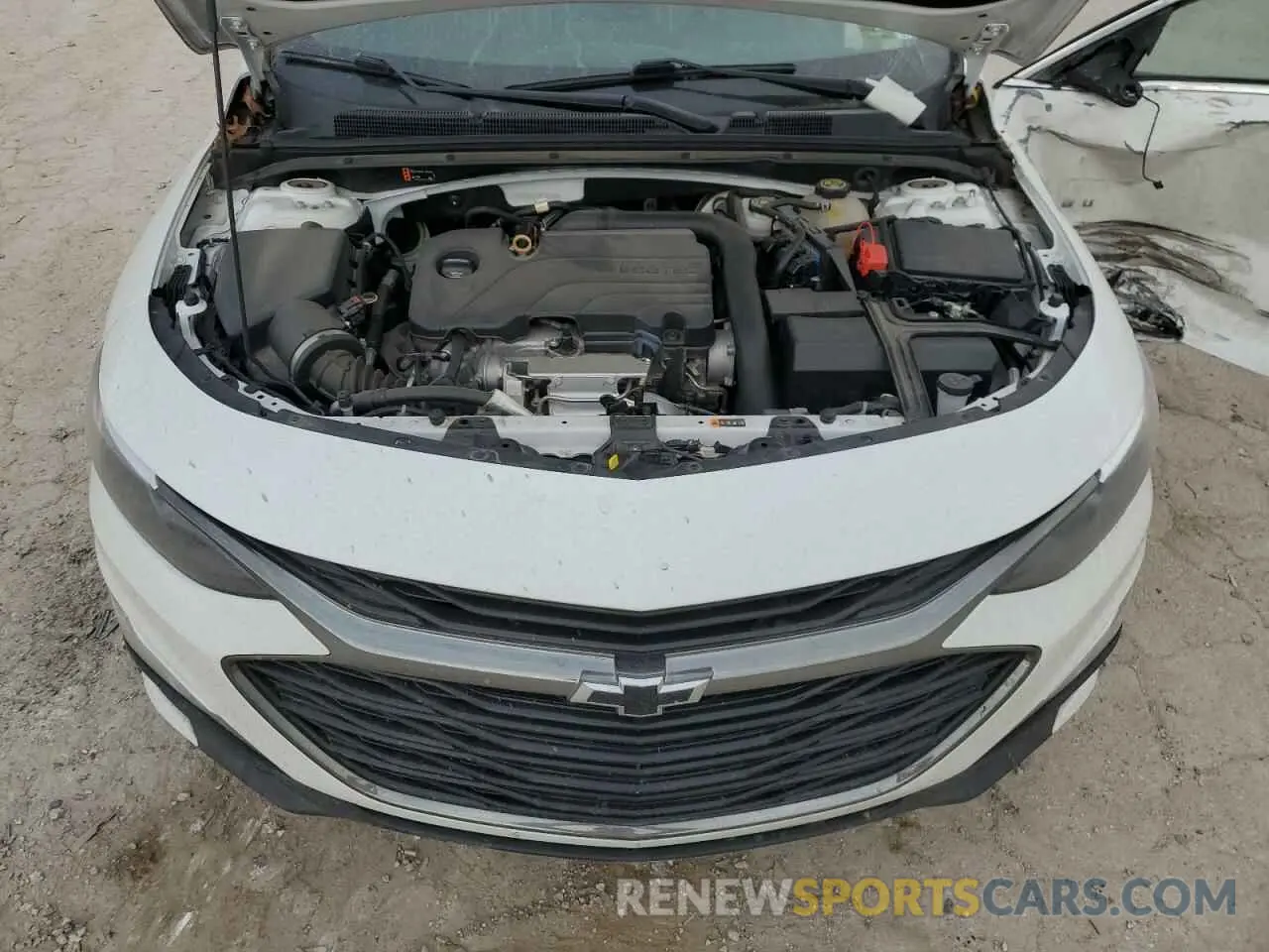 12 Photograph of a damaged car 1G1ZG5ST8KF193319 CHEVROLET MALIBU 2019