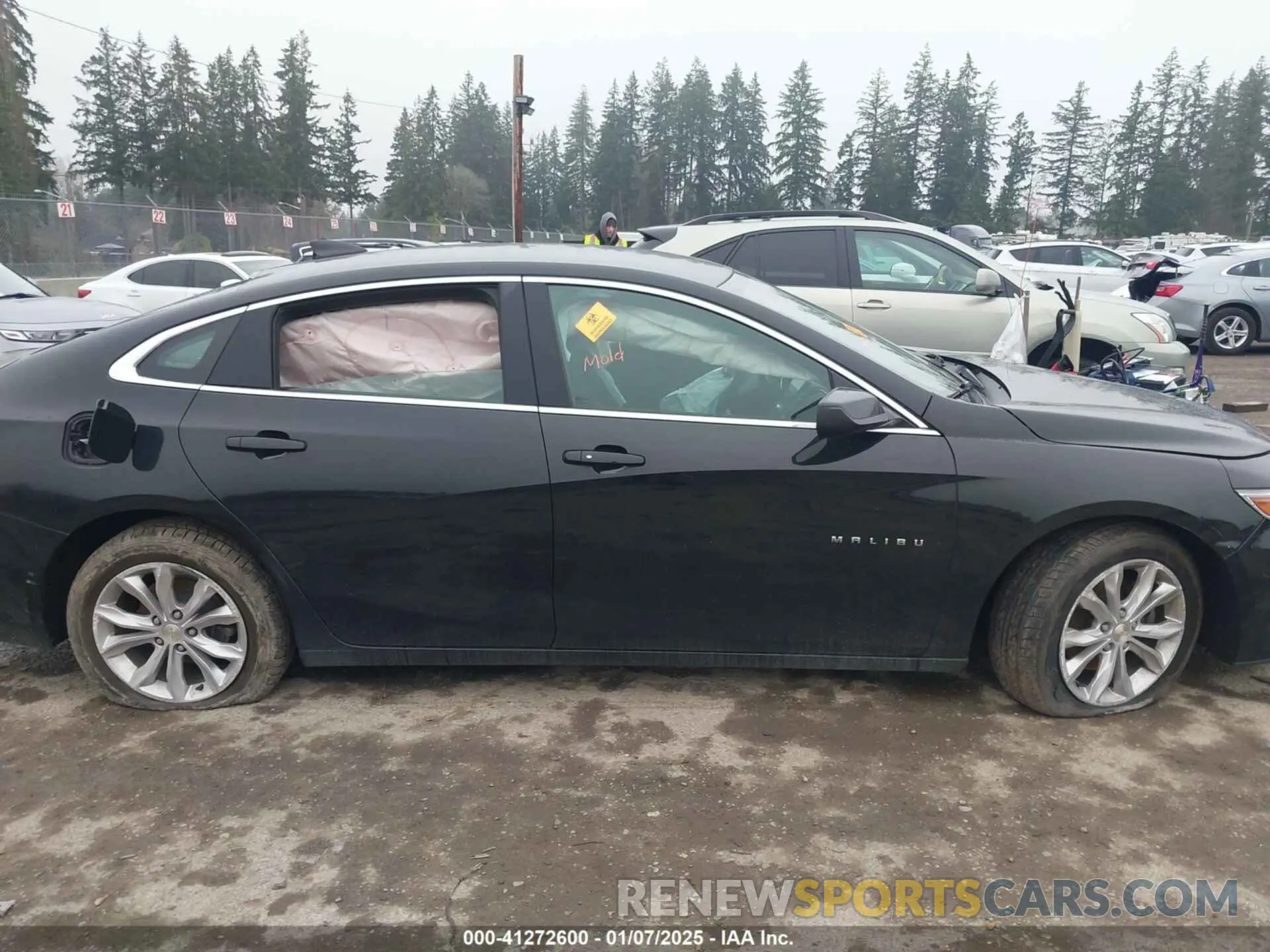 12 Photograph of a damaged car 1G1ZD5ST9LF054231 CHEVROLET MALIBU 2020
