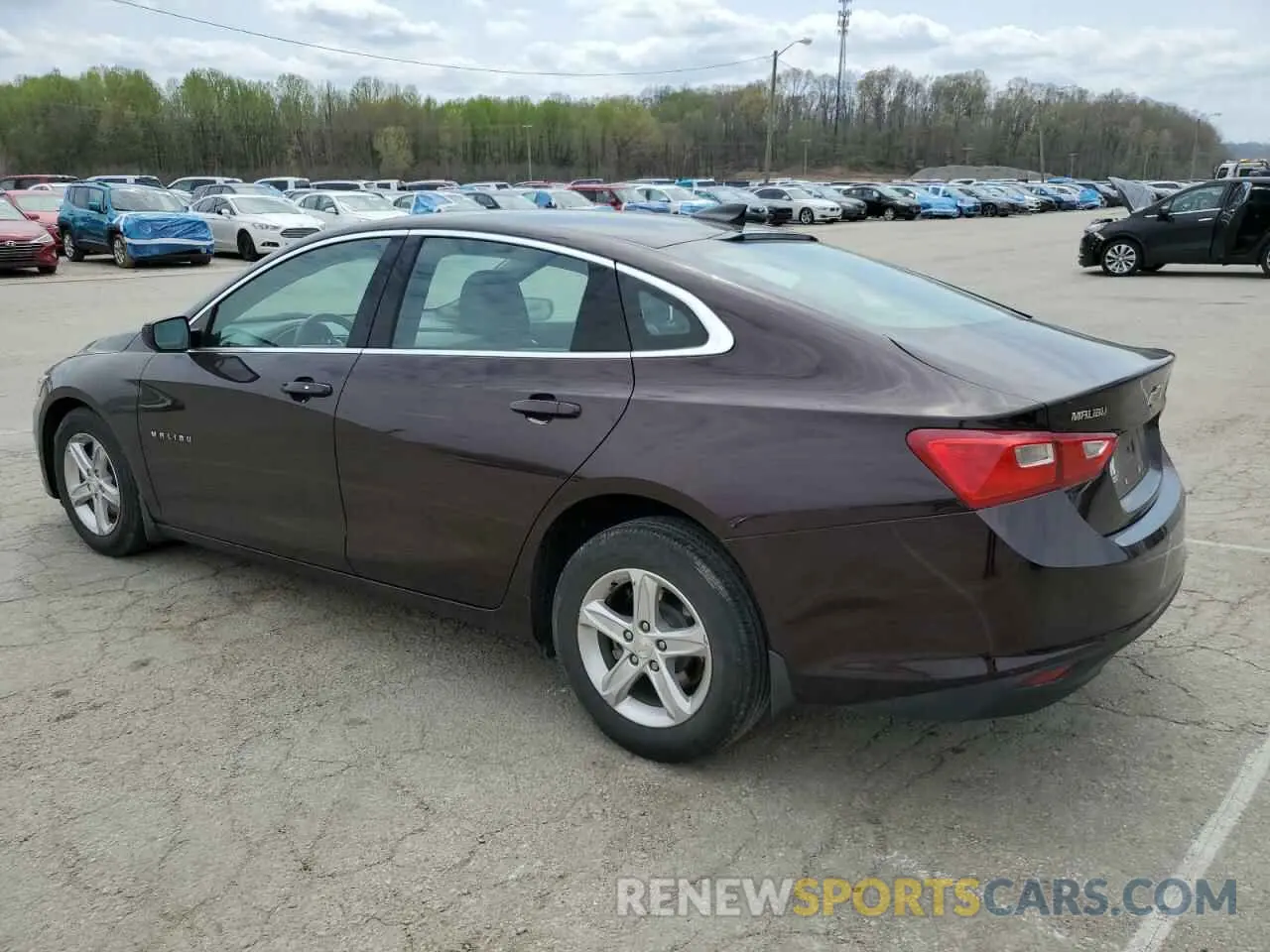 2 Photograph of a damaged car 1G1ZB5ST2MF058368 CHEVROLET MALIBU 2021