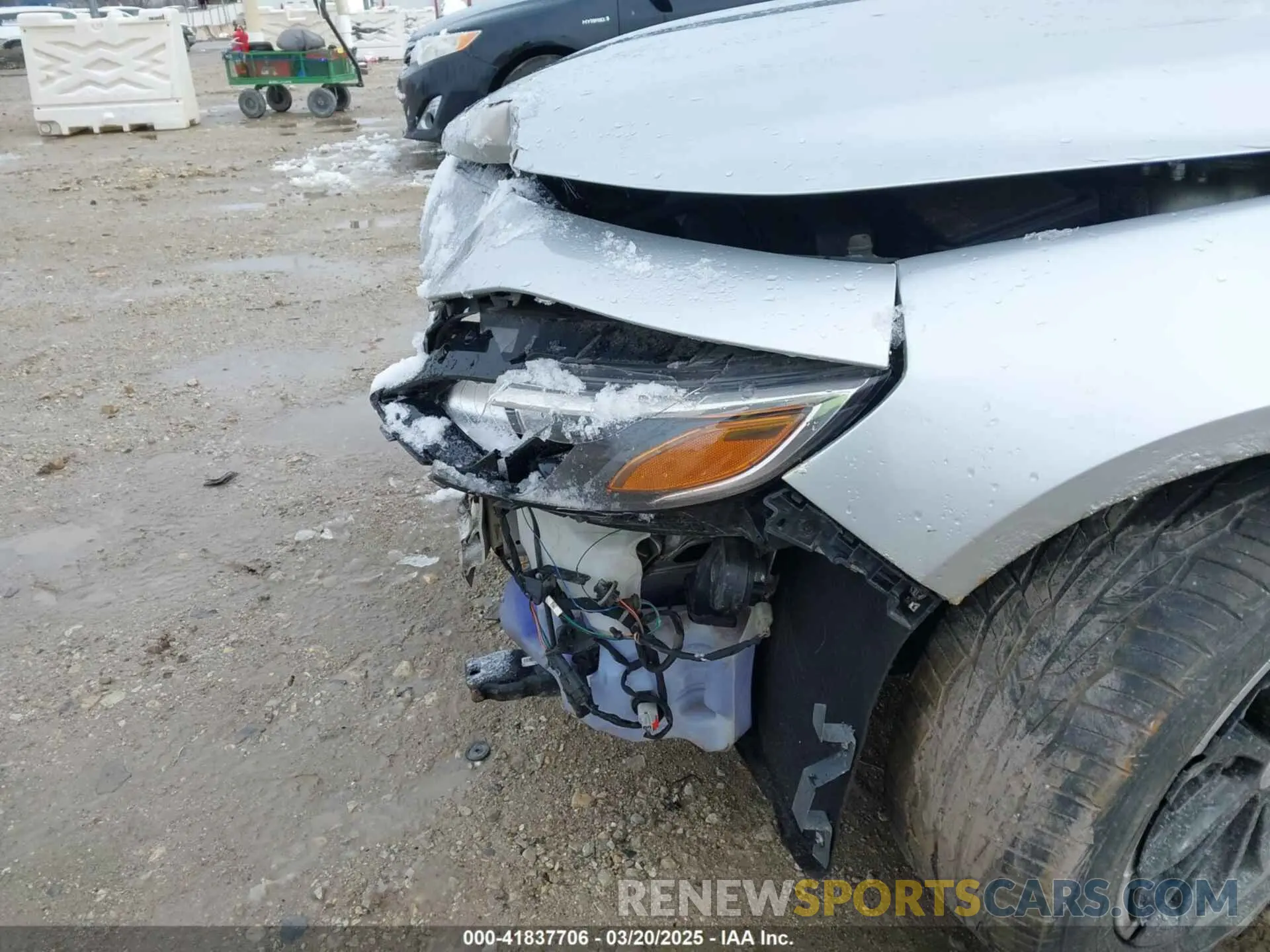 19 Photograph of a damaged car 1G1ZD5ST9MF034742 CHEVROLET MALIBU 2021