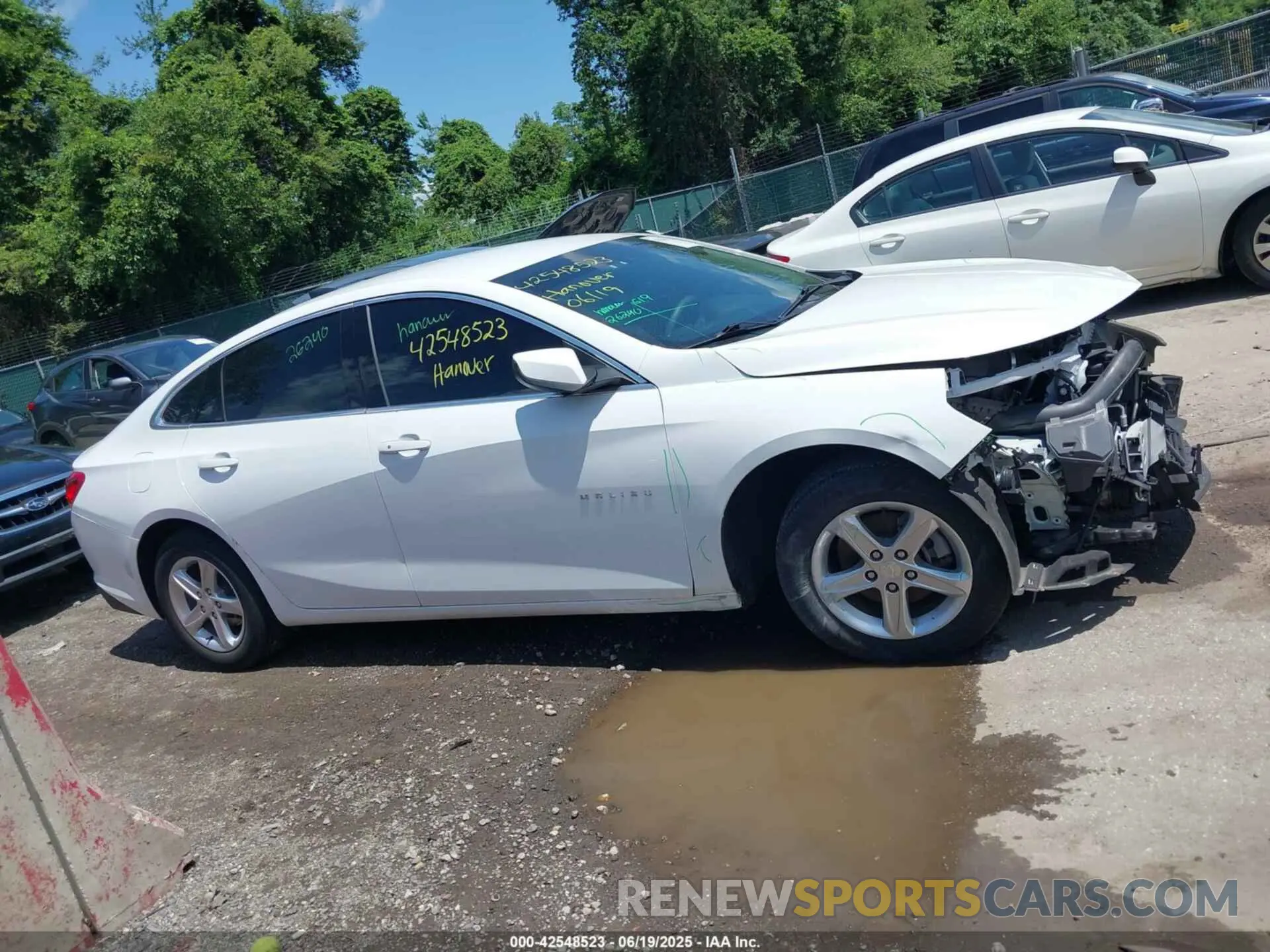 14 Photograph of a damaged car 1G1ZC5STXNF171936 CHEVROLET MALIBU 2022