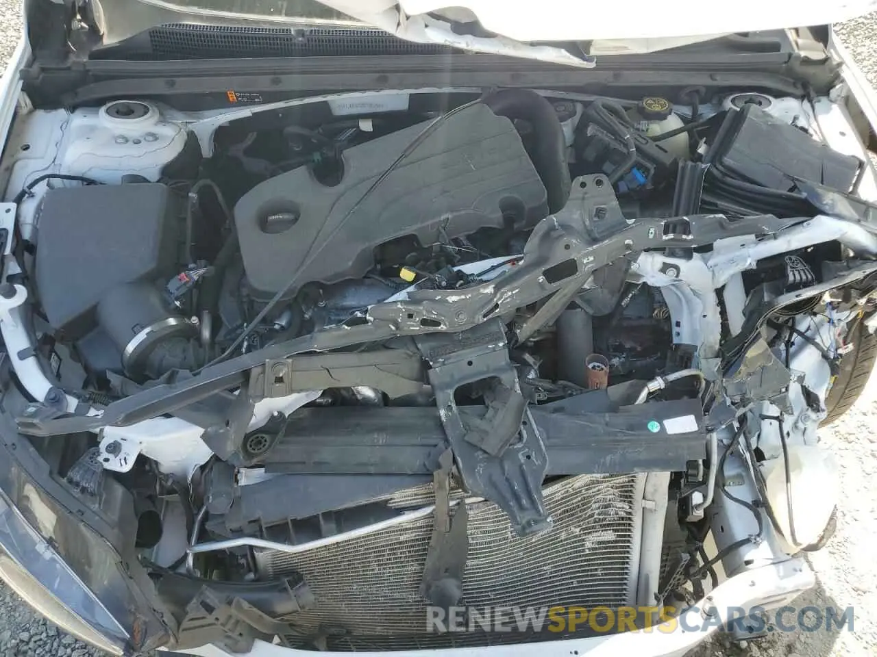 11 Photograph of a damaged car 1G1ZD5ST6NF195258 CHEVROLET MALIBU 2022