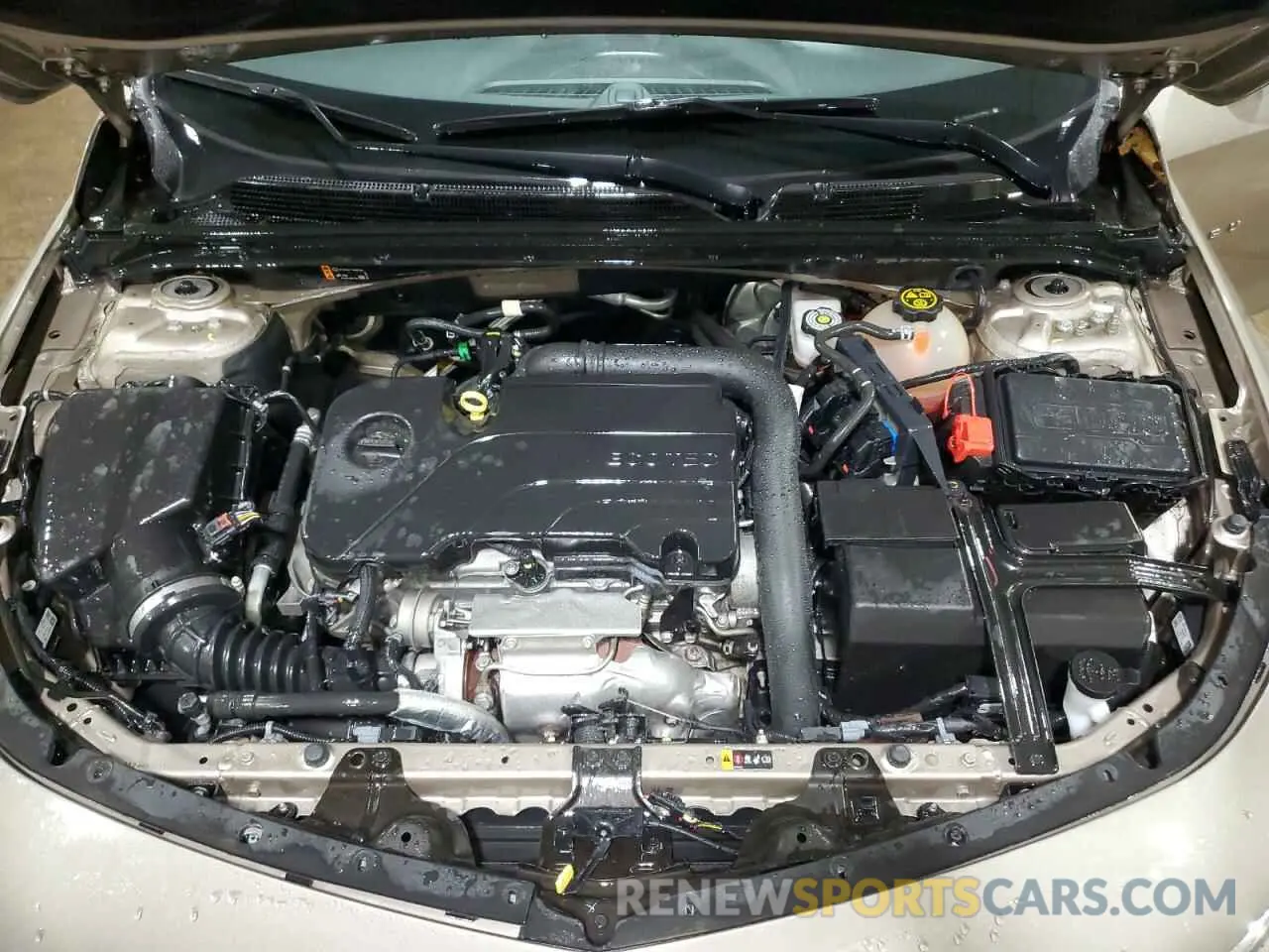 11 Photograph of a damaged car 1G1ZD5STXNF116142 CHEVROLET MALIBU 2022