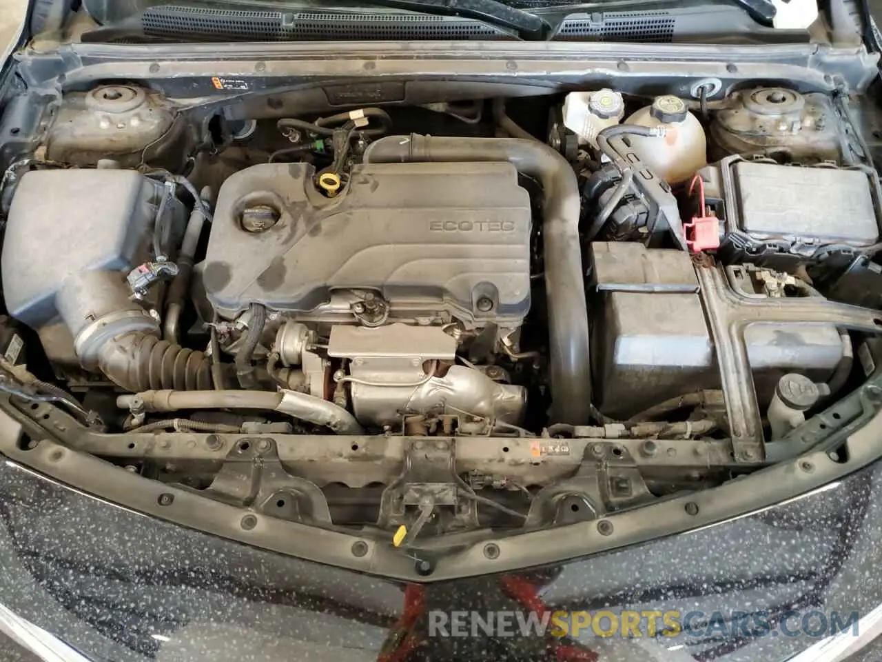 11 Photograph of a damaged car 1G1ZB5ST7PF115247 CHEVROLET MALIBU 2023