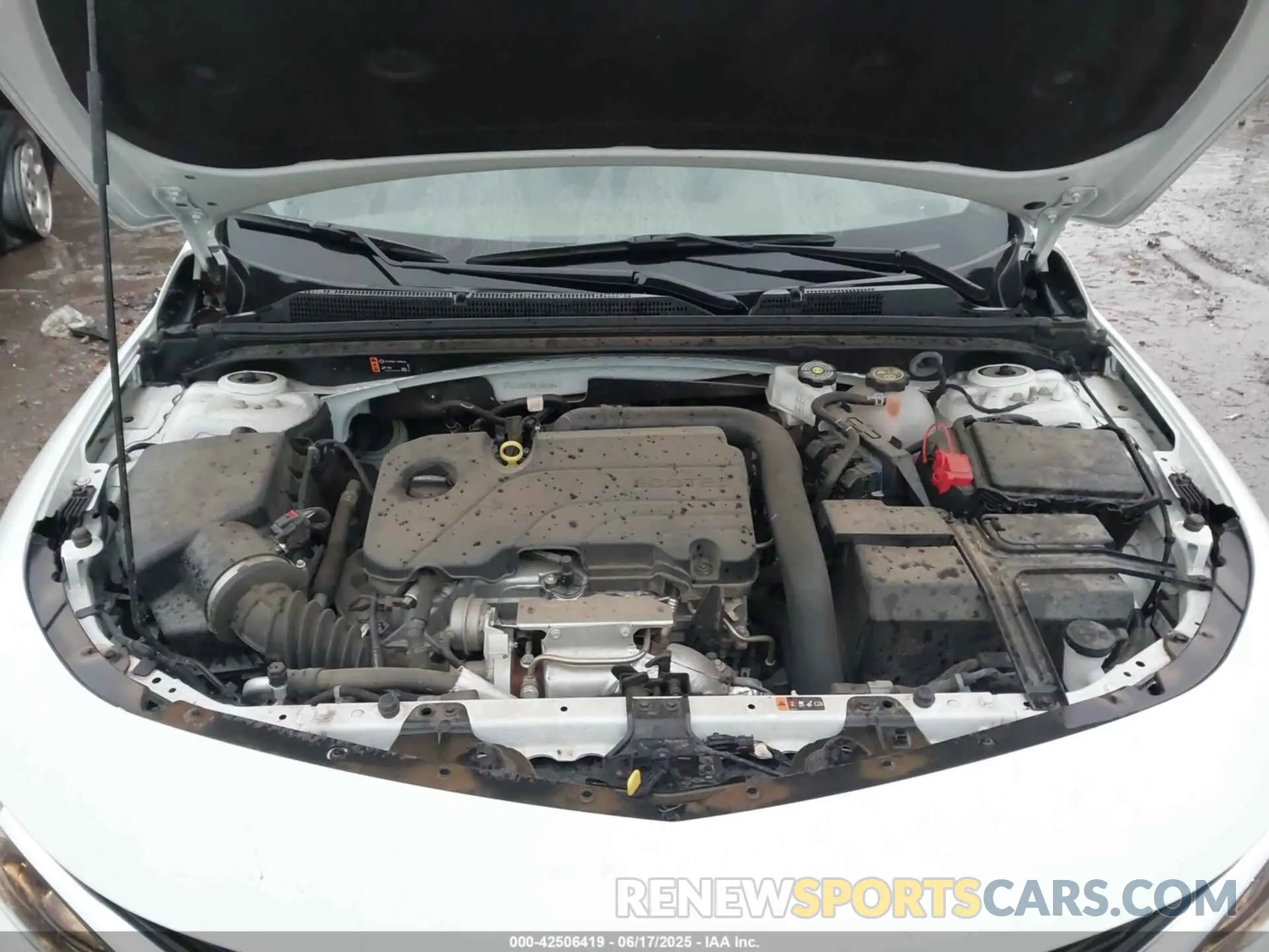 10 Photograph of a damaged car 1G1ZC5STXPF166108 CHEVROLET MALIBU 2023