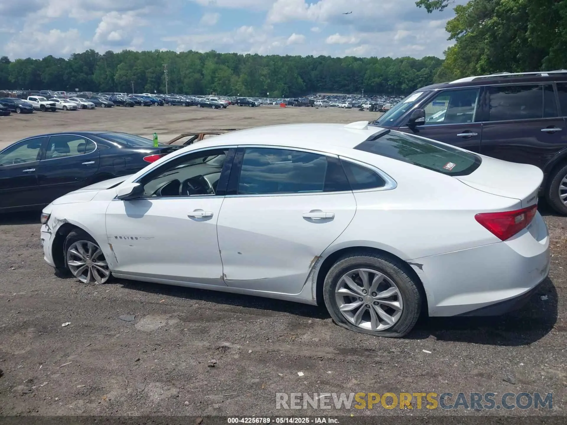 14 Photograph of a damaged car 1G1ZD5ST6PF146032 CHEVROLET MALIBU 2023