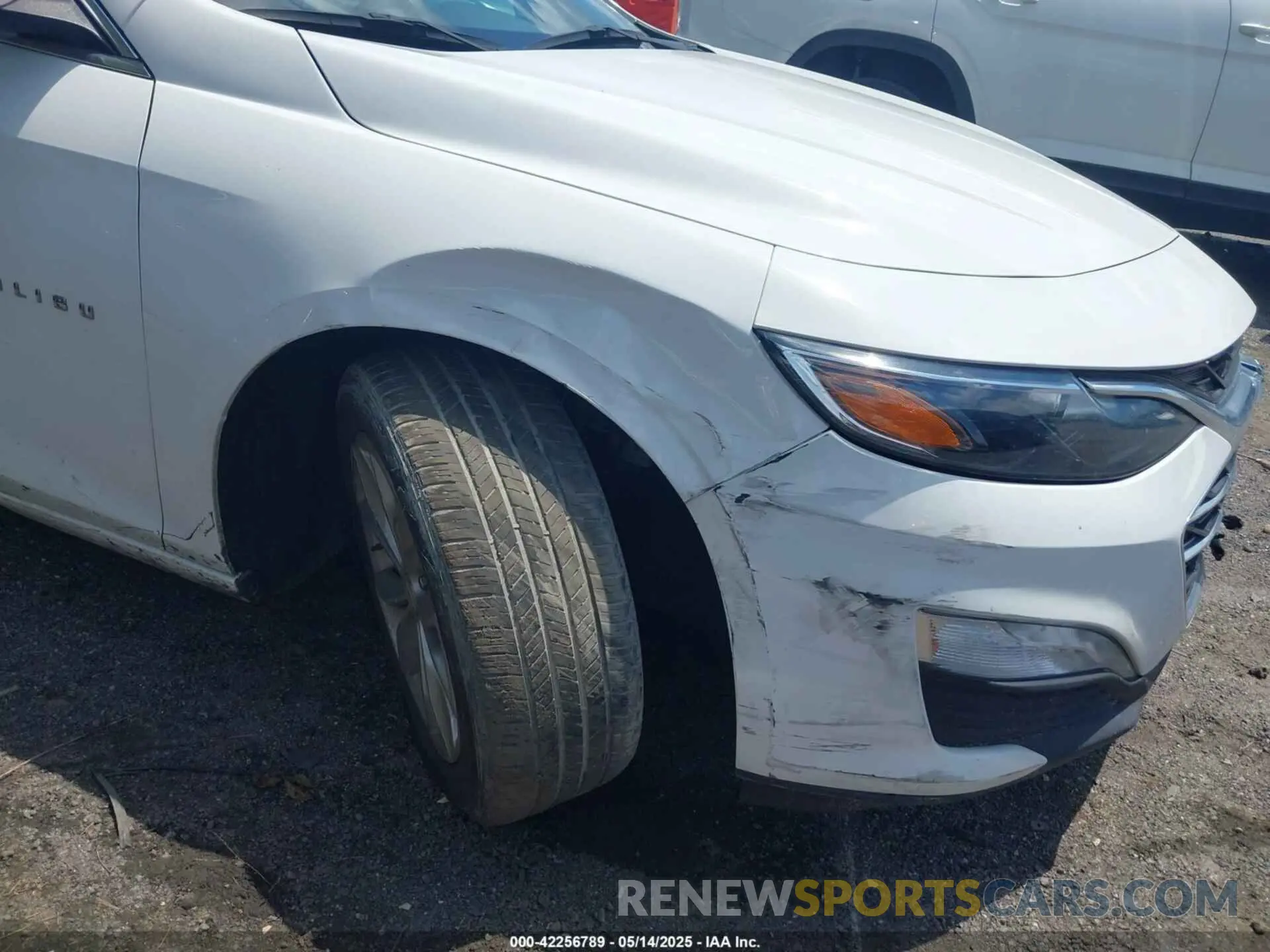 19 Photograph of a damaged car 1G1ZD5ST6PF146032 CHEVROLET MALIBU 2023