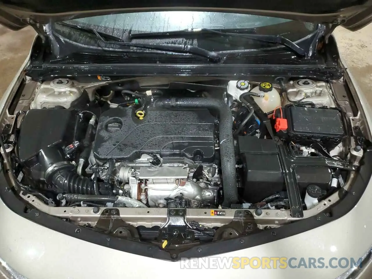 11 Photograph of a damaged car 1G1ZD5ST6PF181265 CHEVROLET MALIBU 2023