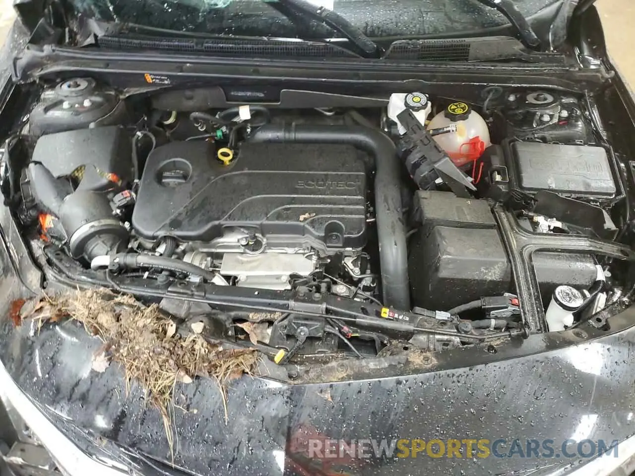 12 Фотография поврежденного автомобиля 1G1ZE5ST9PF177403 CHEVROLET MALIBU 2023