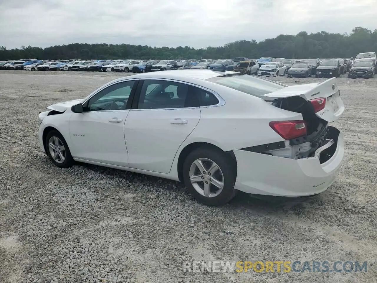 2 Photograph of a damaged car 1G1ZC5ST5RF127056 CHEVROLET MALIBU 2024