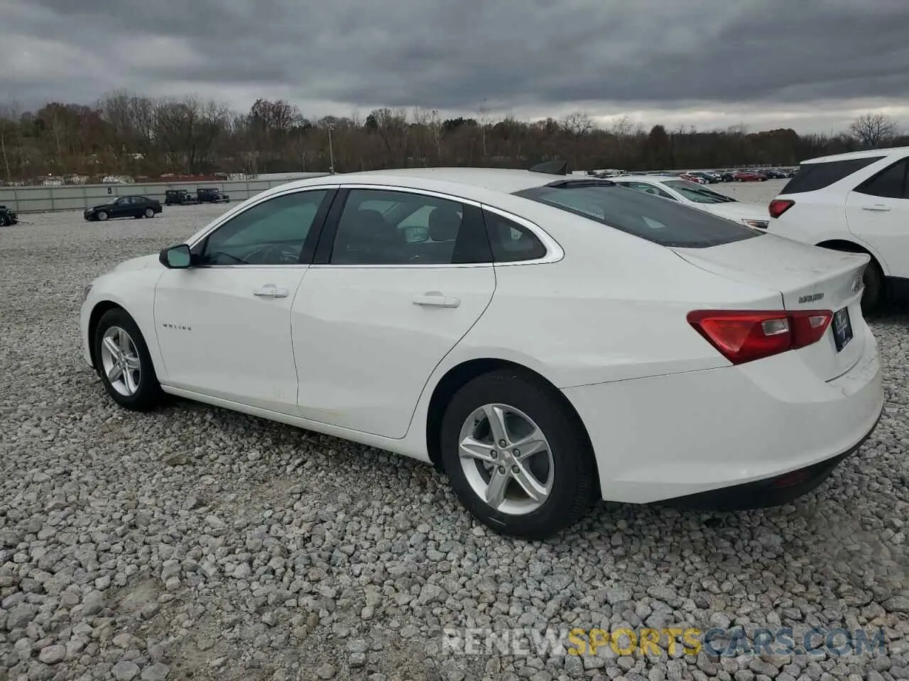 2 Photograph of a damaged car 1G1ZC5ST9RF210134 CHEVROLET MALIBU 2024