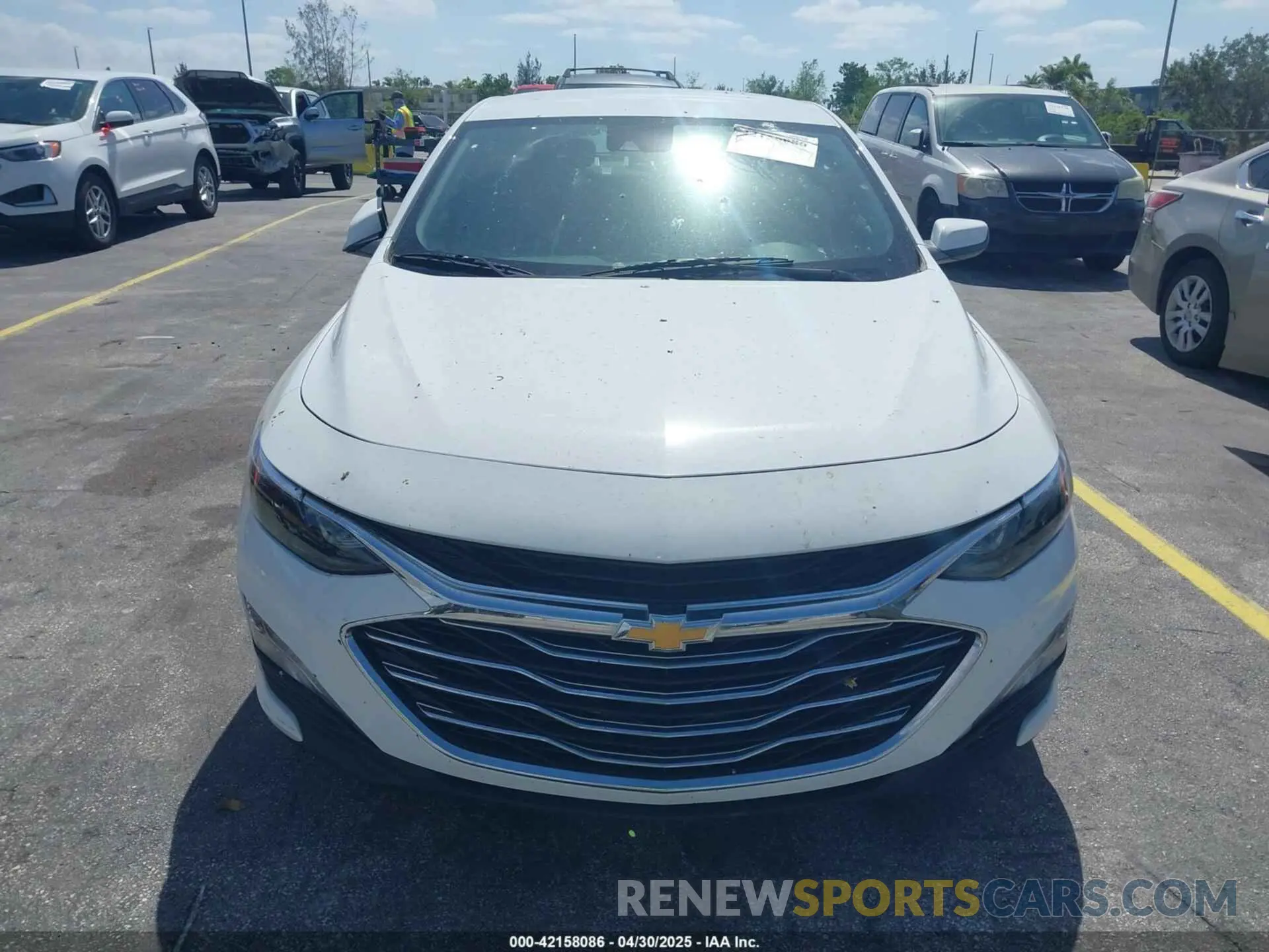 12 Photograph of a damaged car 1G1ZD5ST1RF113281 CHEVROLET MALIBU 2024