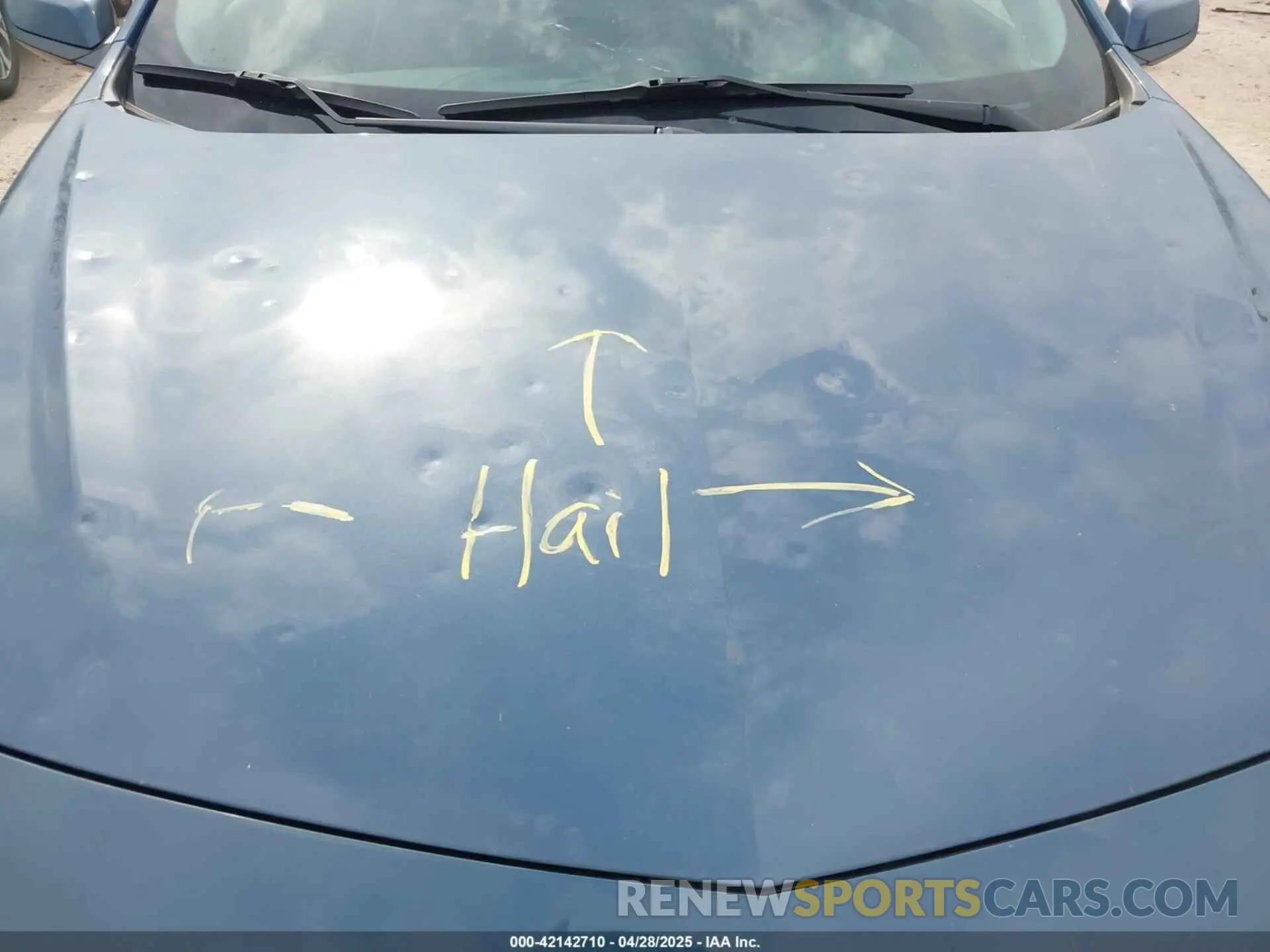 6 Photograph of a damaged car 1G1ZD5ST2RF169200 CHEVROLET MALIBU 2024
