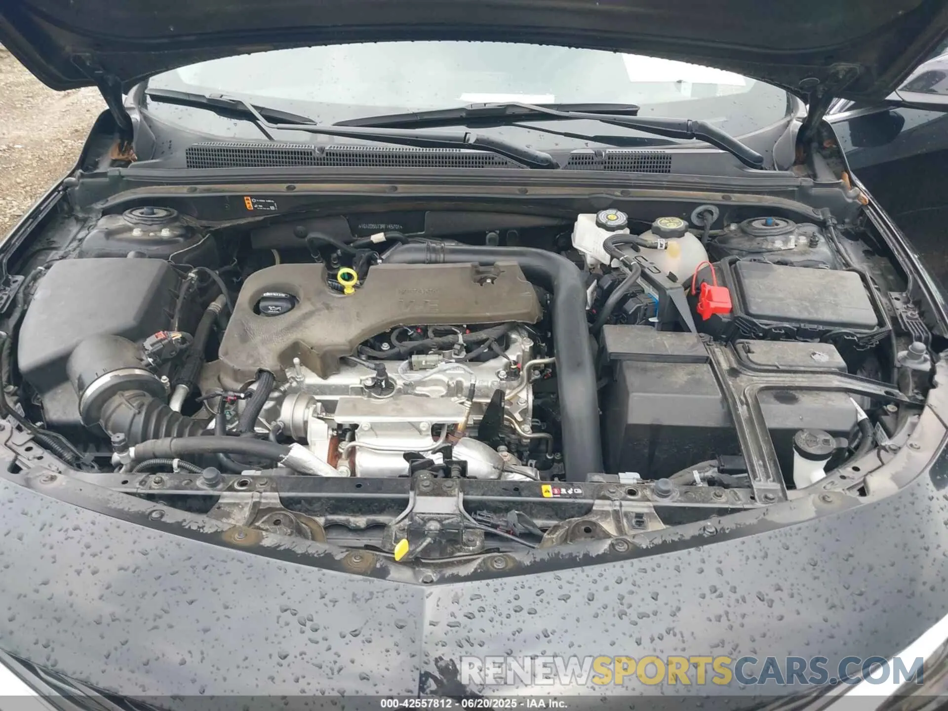 10 Photograph of a damaged car 1G1ZD5ST3RF145701 CHEVROLET MALIBU 2024