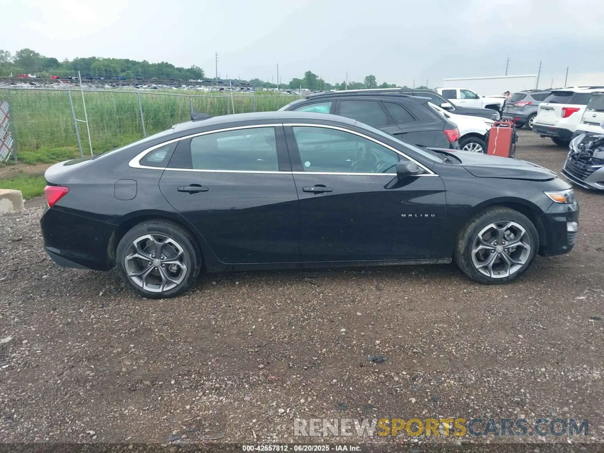 13 Photograph of a damaged car 1G1ZD5ST3RF145701 CHEVROLET MALIBU 2024