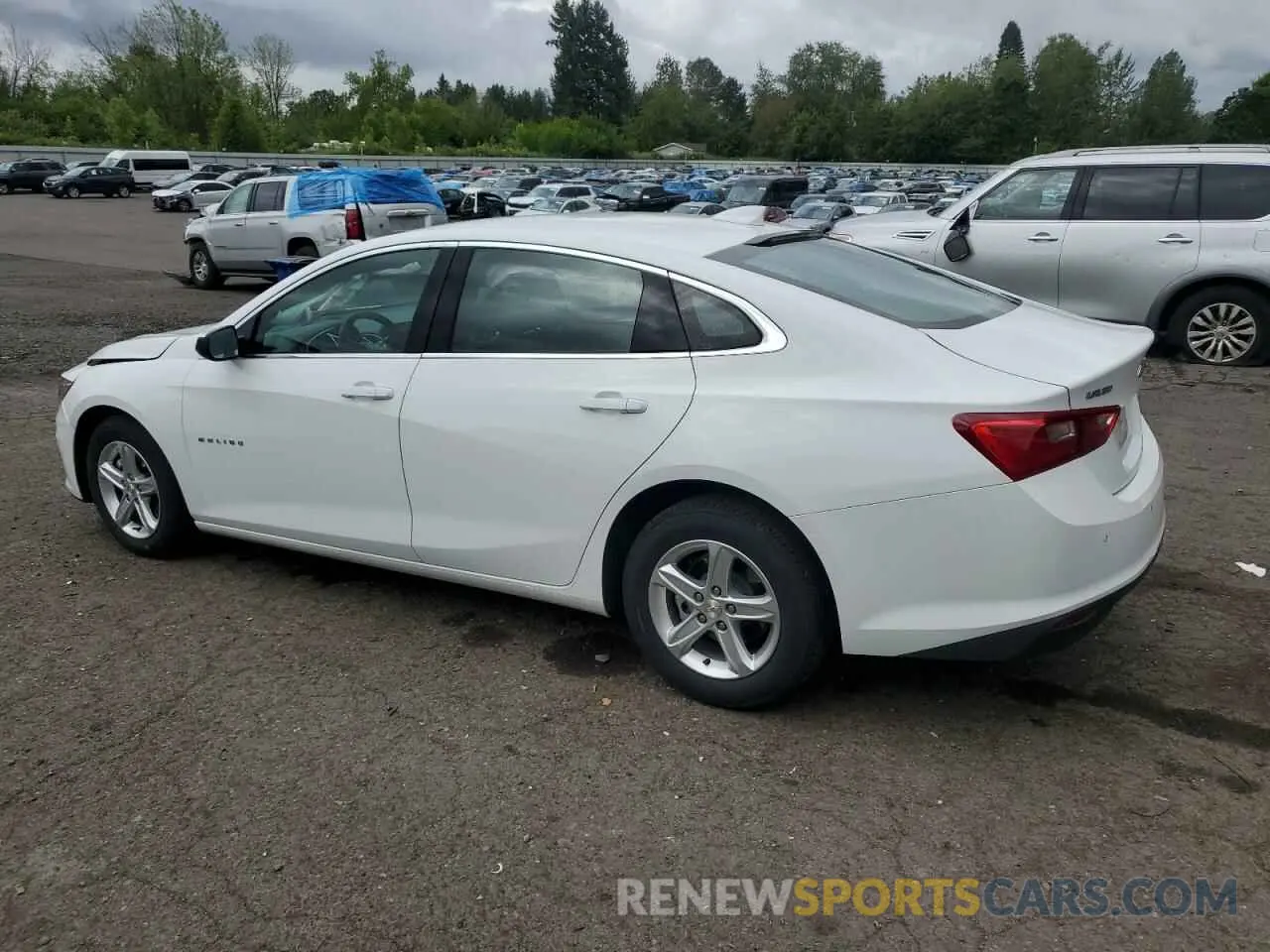 2 Фотография поврежденного автомобиля 1G1ZD5ST6RF209603 CHEVROLET MALIBU 2024
