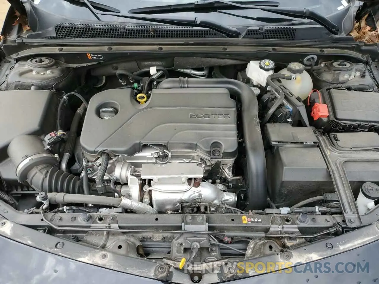 11 Photograph of a damaged car 1G1ZD5ST9RF234897 CHEVROLET MALIBU 2024