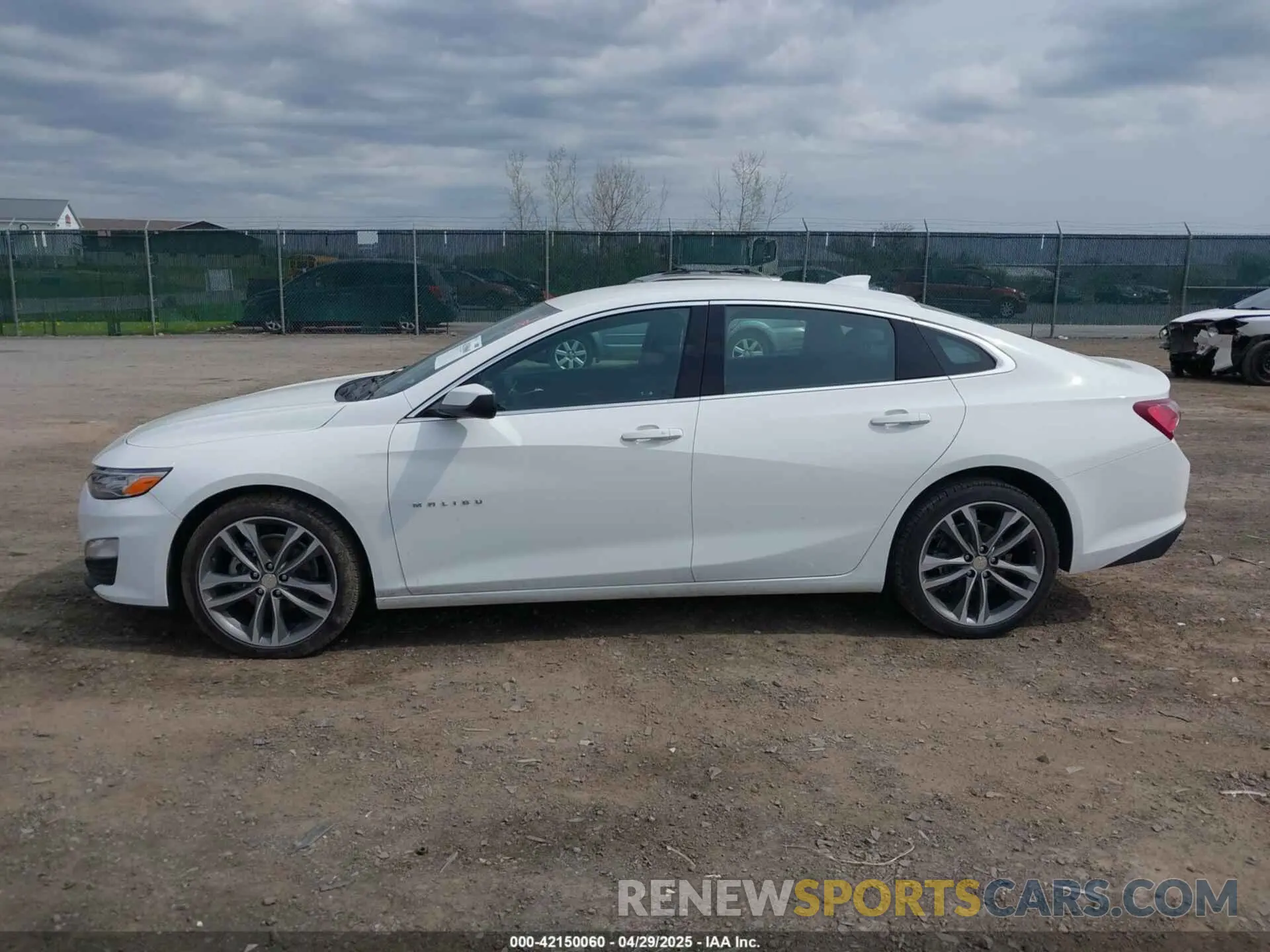 14 Photograph of a damaged car 1G1ZE5ST6RF224938 CHEVROLET MALIBU 2024