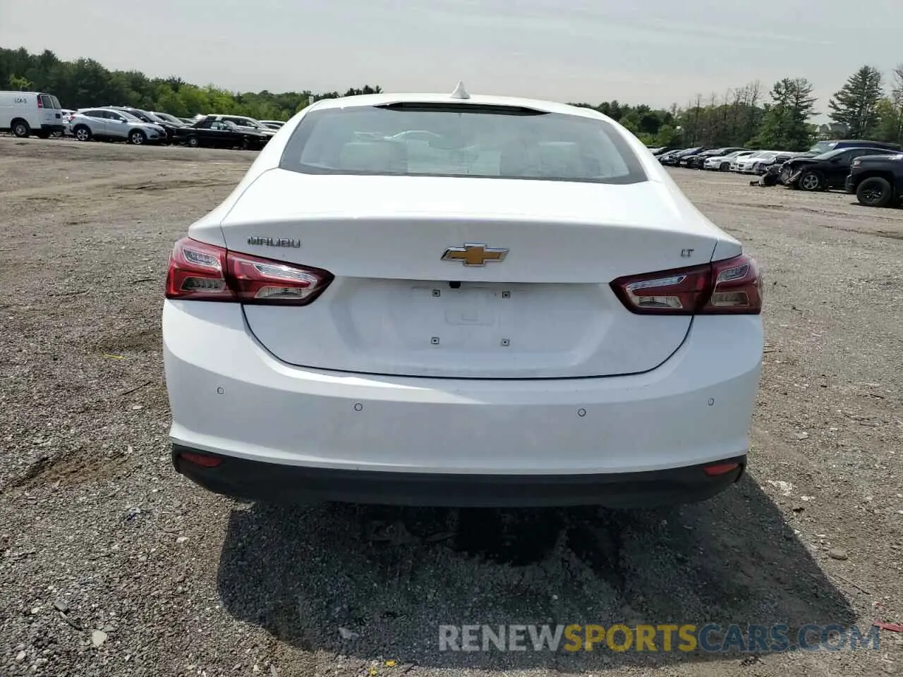 6 Фотография поврежденного автомобиля 1G1ZE5ST9RF124381 CHEVROLET MALIBU 2024