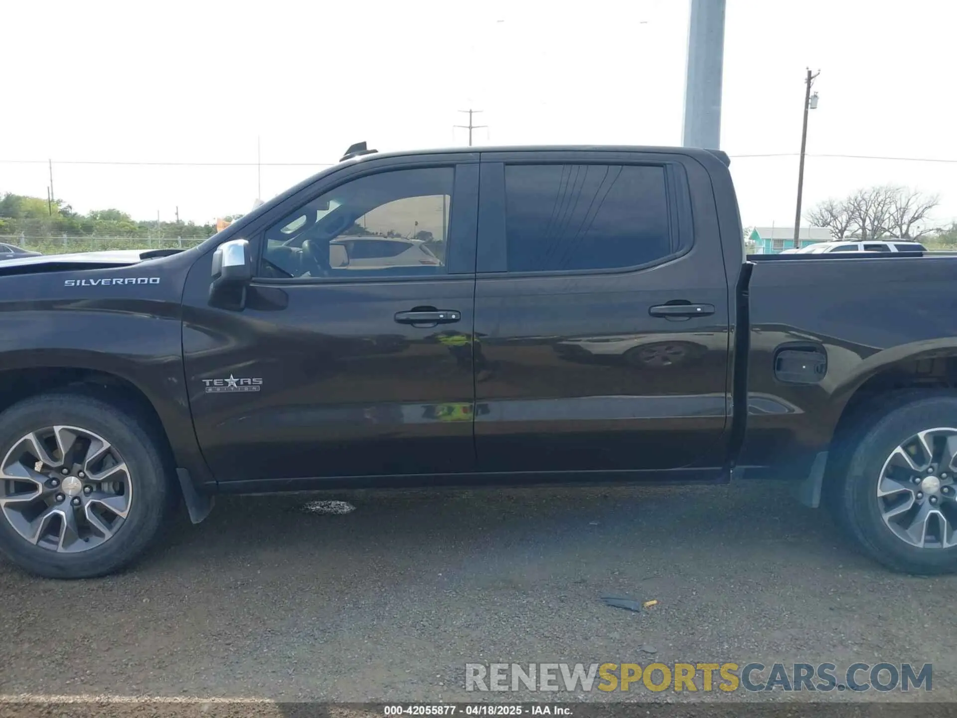 14 Фотография поврежденного автомобиля 1GCPWCED8KZ355412 CHEVROLET SILVERADO 1500 2019