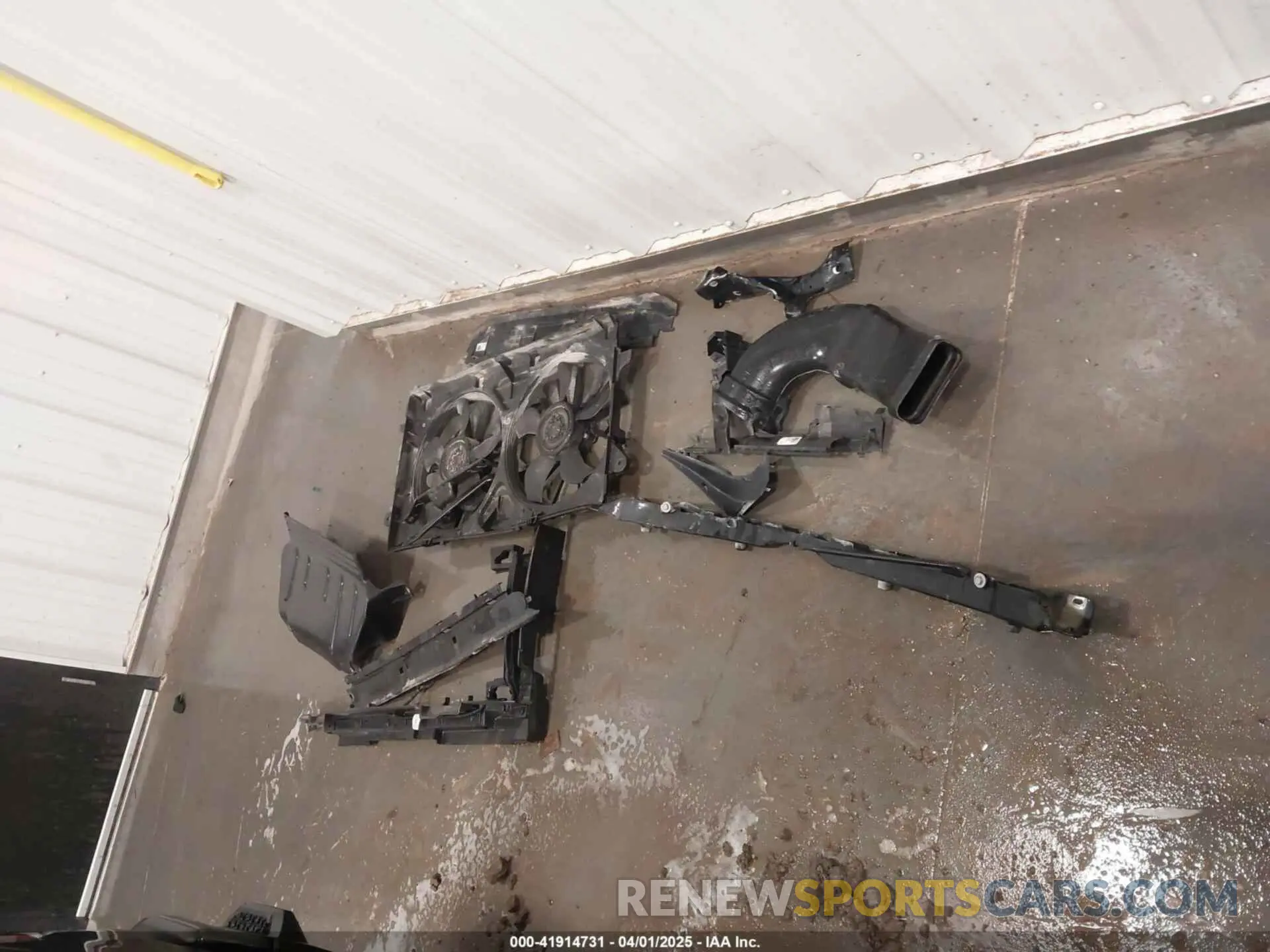 12 Photograph of a damaged car 1GCPYFED8KZ377552 CHEVROLET SILVERADO 1500 2019