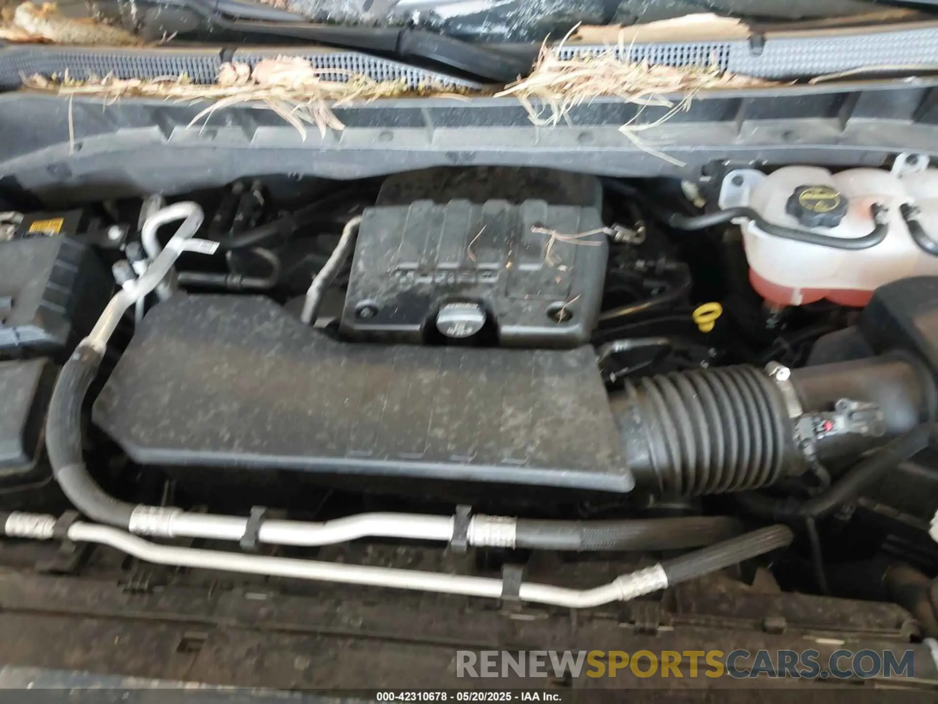 10 Photograph of a damaged car 1GCPDKEK0RZ294212 CHEVROLET SILVERADO 1500 2024