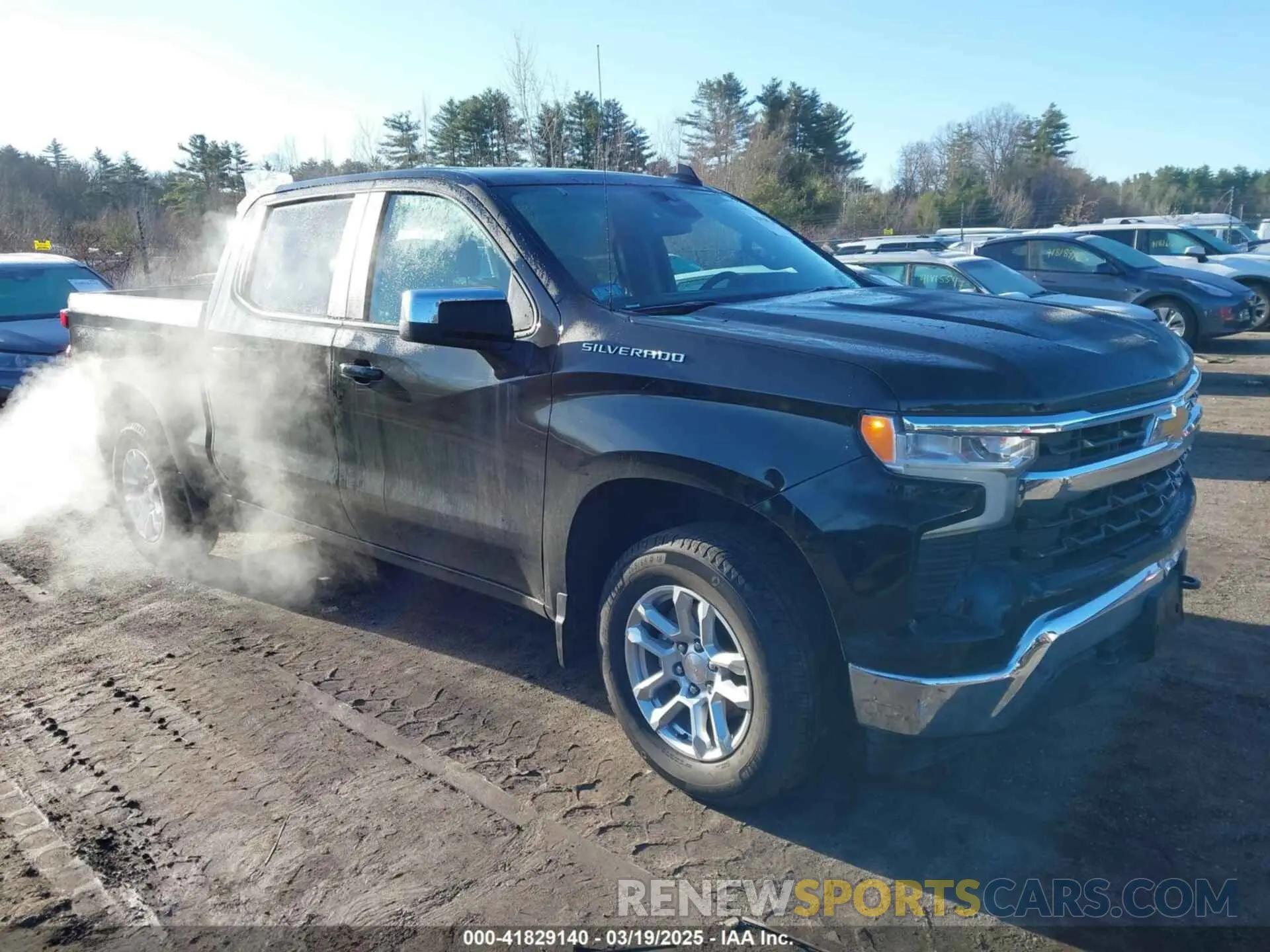 13 Photograph of a damaged car 1GCPDKEK1RZ203156 CHEVROLET SILVERADO 1500 2024