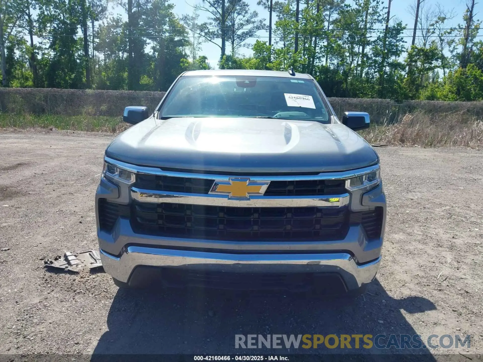 12 Фотография поврежденного автомобиля 3GCPACED4RG171030 CHEVROLET SILVERADO 1500 2024