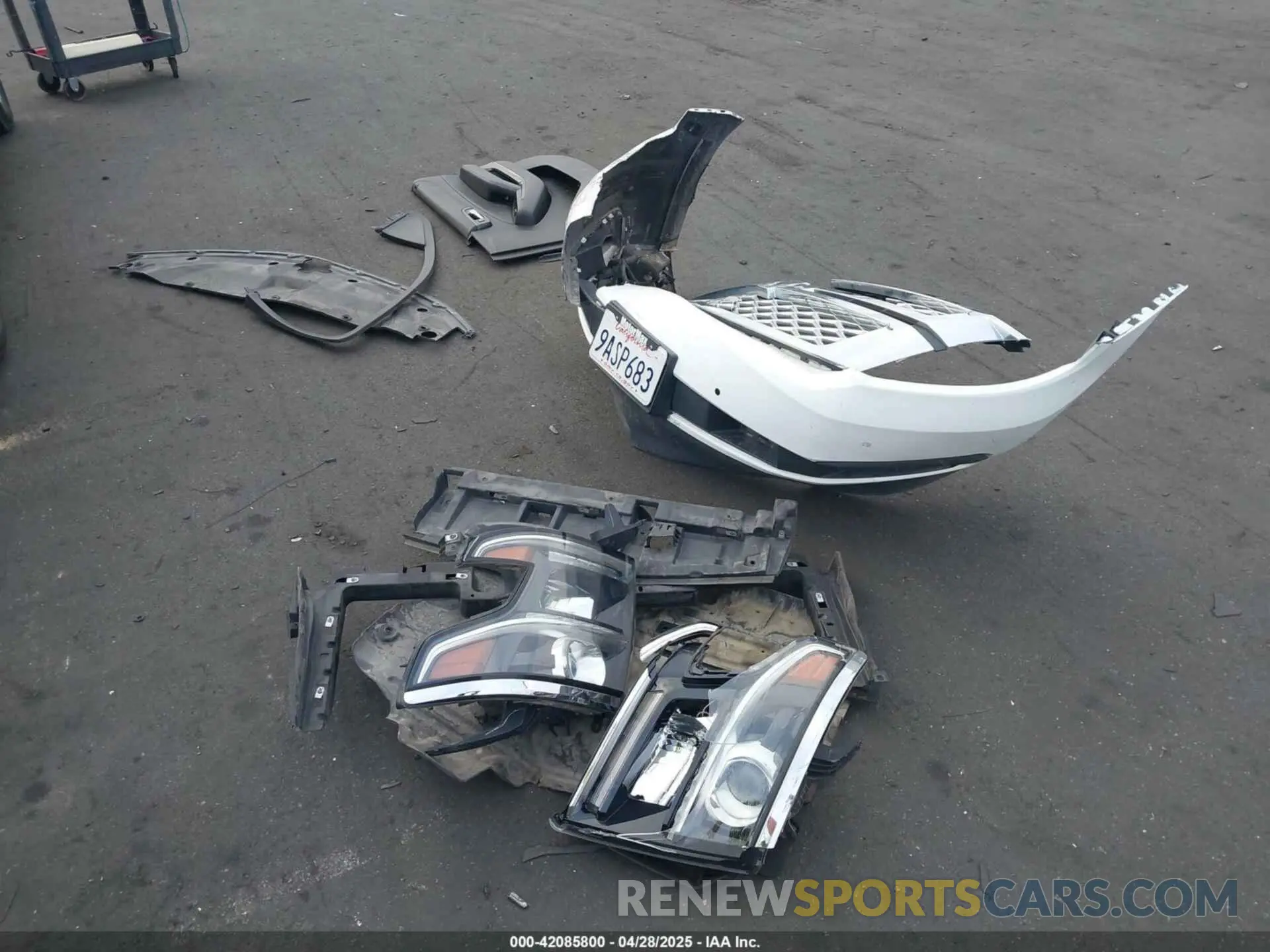 12 Photograph of a damaged car 1GNSKBKC5KR273544 CHEVROLET TAHOE 2019