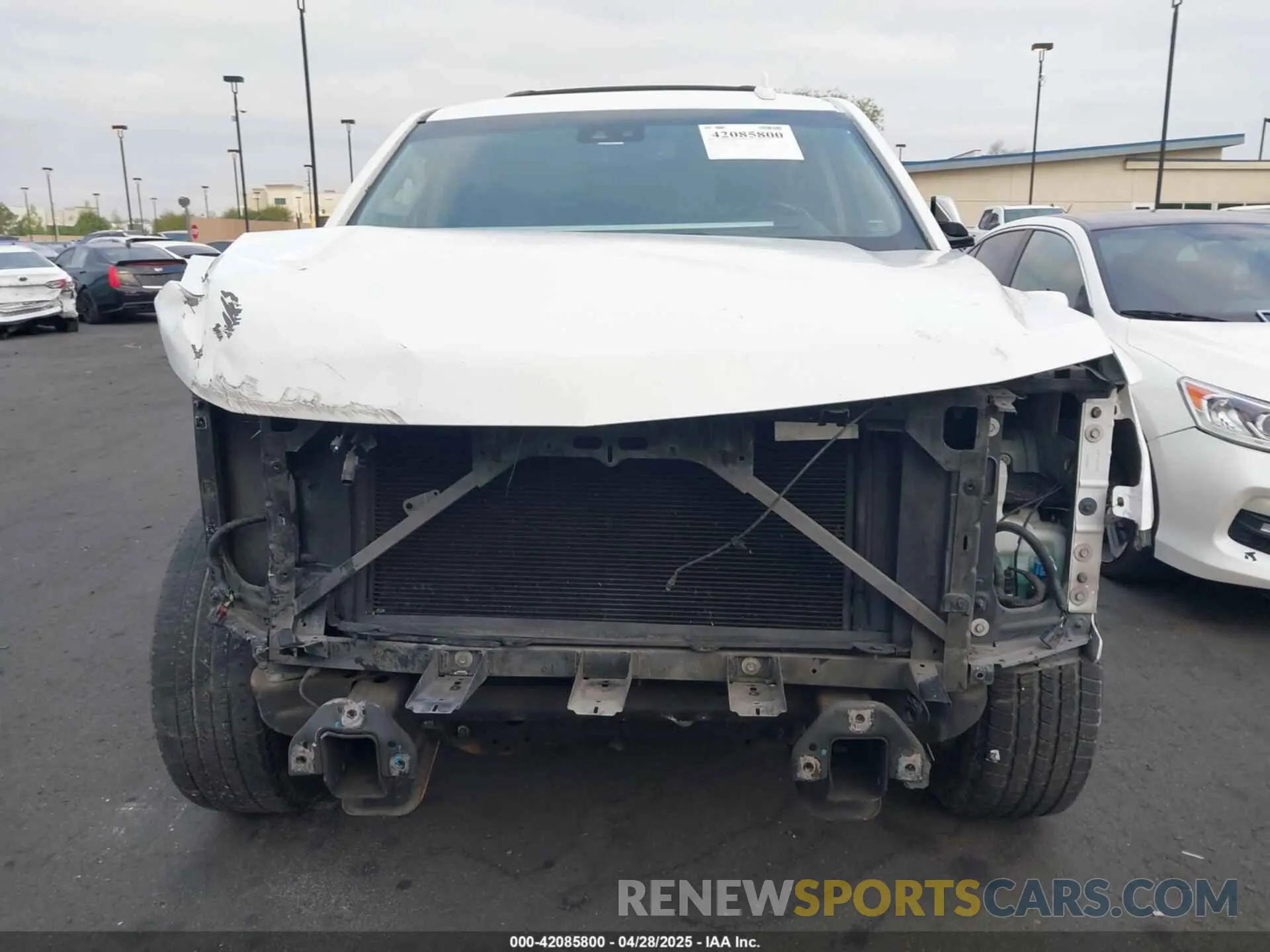 13 Photograph of a damaged car 1GNSKBKC5KR273544 CHEVROLET TAHOE 2019