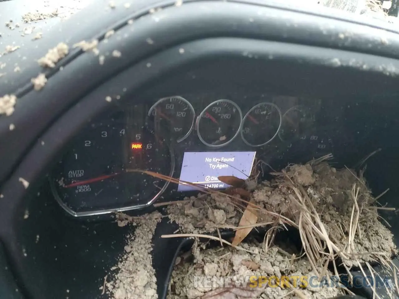 9 Photograph of a damaged car 1GNSCNKD1MR156490 CHEVROLET TAHOE 2021