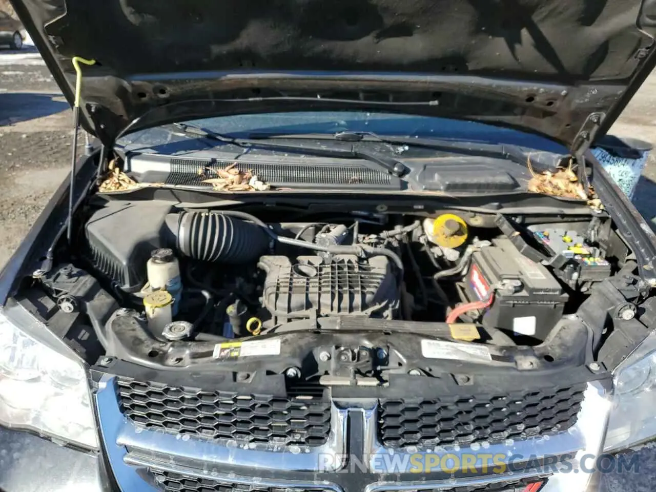 14 Photograph of a damaged car 2C4RDGCG3KR755309 DODGE CARAVAN 2019