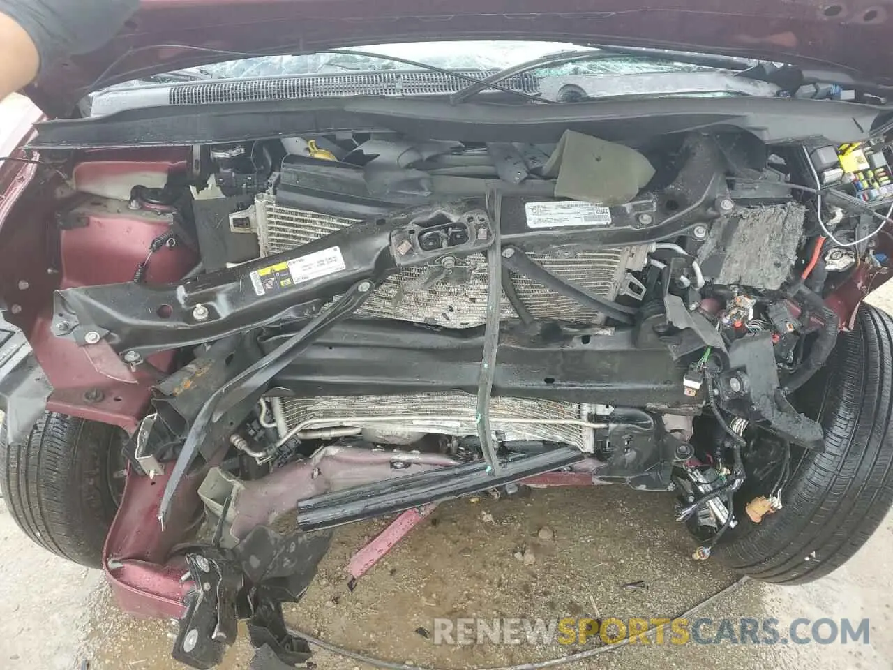 12 Photograph of a damaged car 2C4RDGEG9KR535606 DODGE CARAVAN 2019