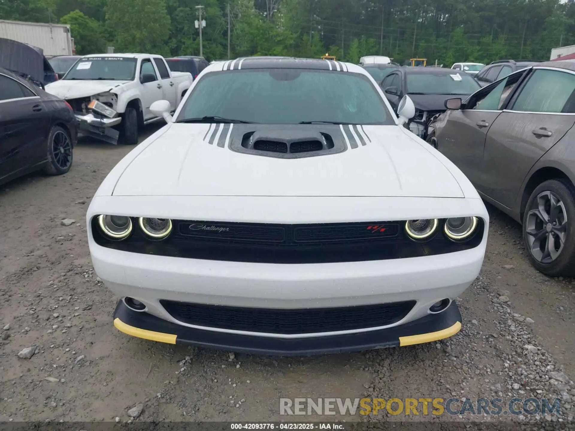 12 Photograph of a damaged car 2C3CDZBT4KH604103 DODGE CHALLENGER 2019