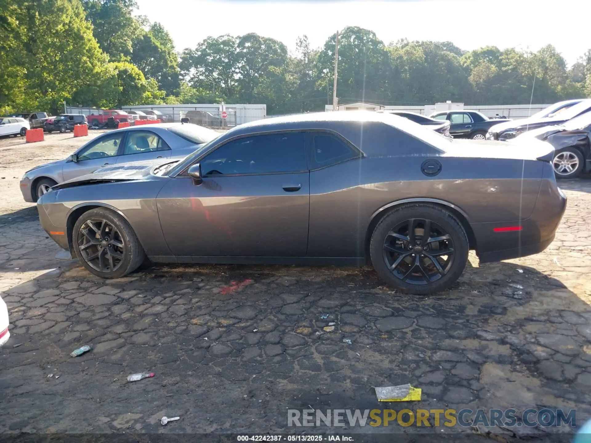 14 Photograph of a damaged car 2C3CDZJG8KH660954 DODGE CHALLENGER 2019