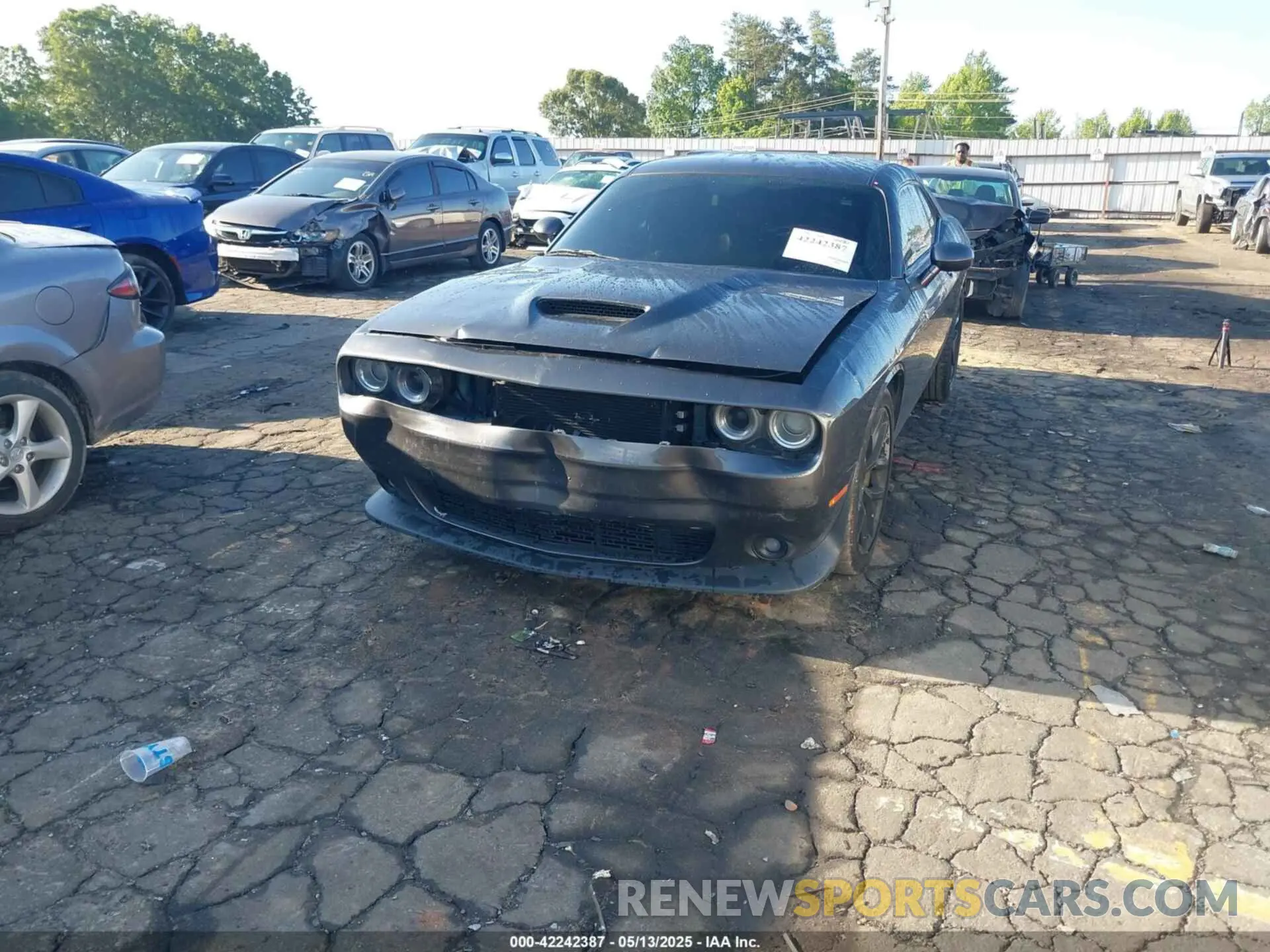 2 Photograph of a damaged car 2C3CDZJG8KH660954 DODGE CHALLENGER 2019