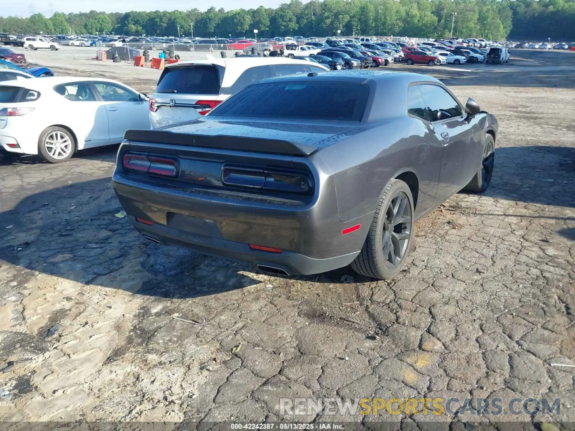 4 Photograph of a damaged car 2C3CDZJG8KH660954 DODGE CHALLENGER 2019