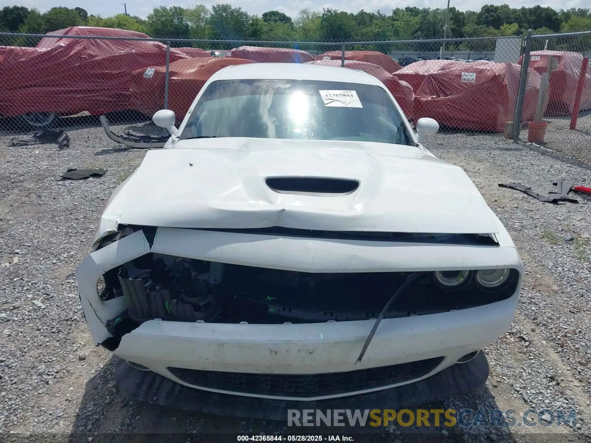 12 Photograph of a damaged car 2C3CDZJG0NH237466 DODGE CHALLENGER 2022